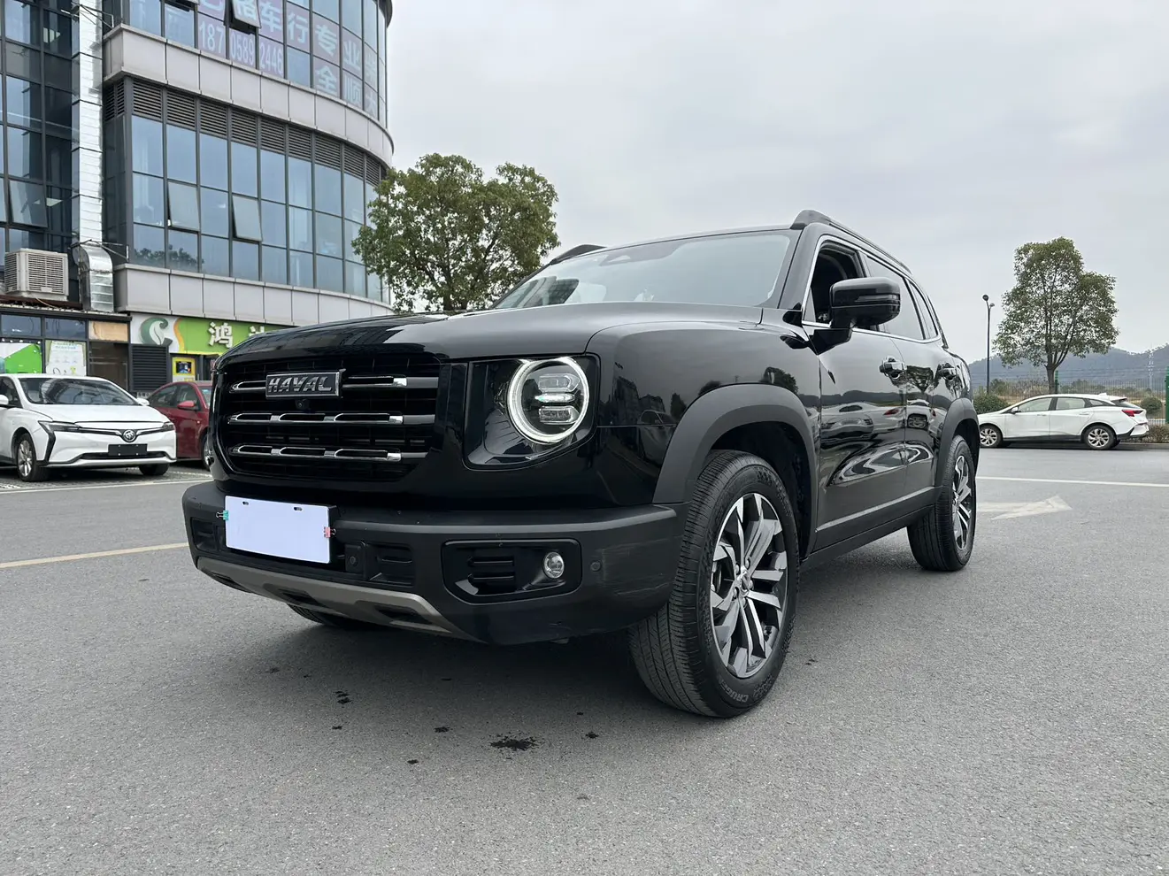Haval Dargo