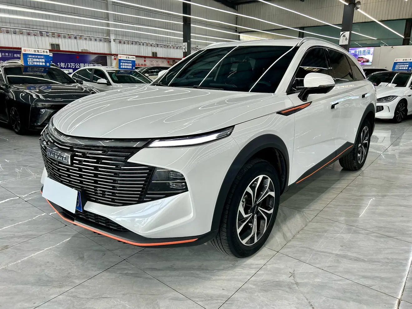 Haval Beast