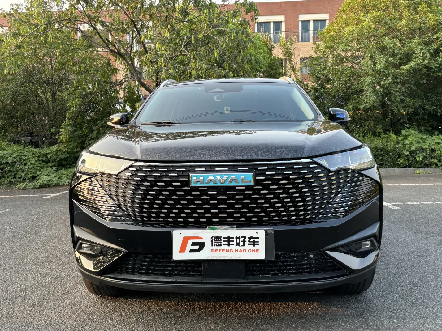 Haval H6 PHEV  из Китая