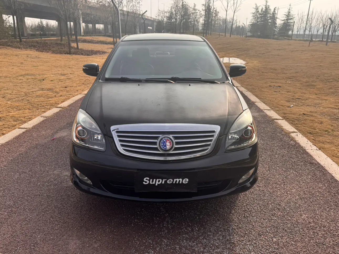 Geely Sea view  из Китая