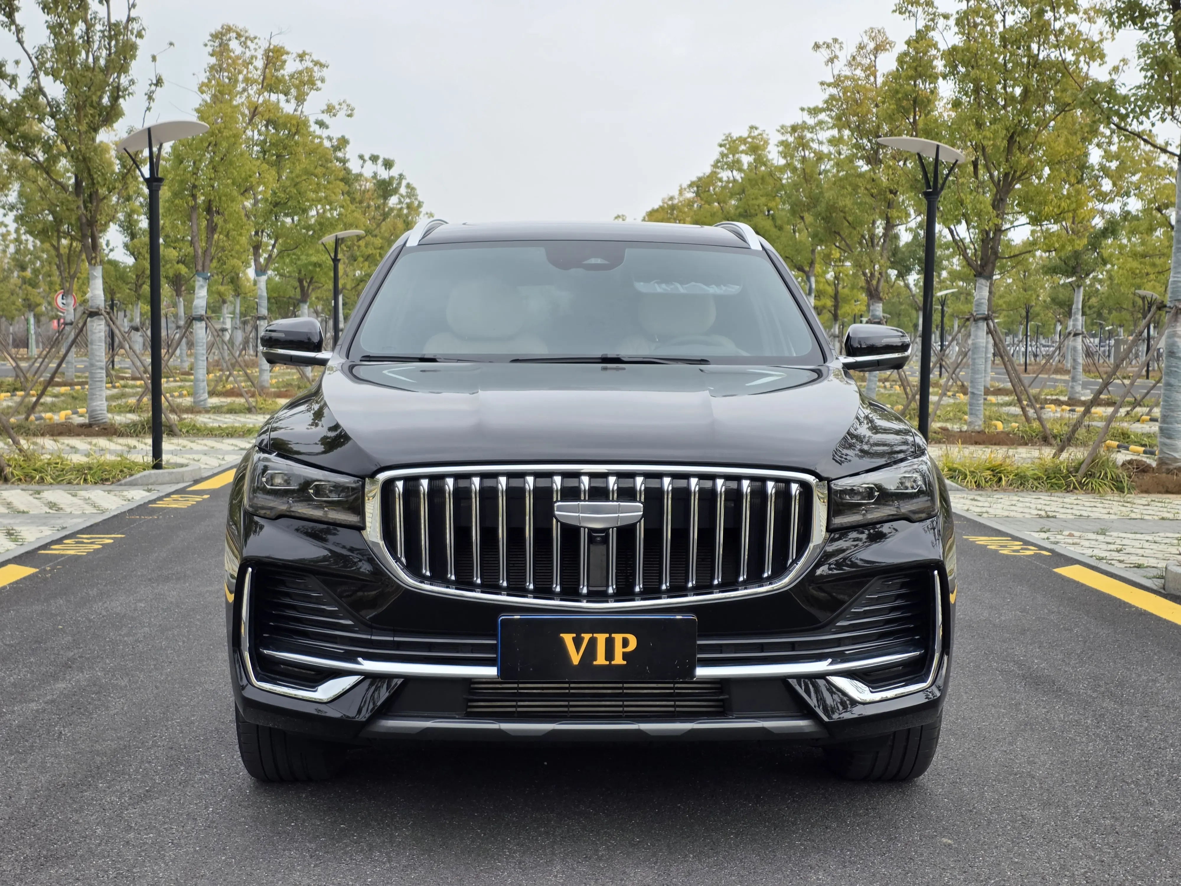 Geely Monjaro (Xingyue L)  из Китая