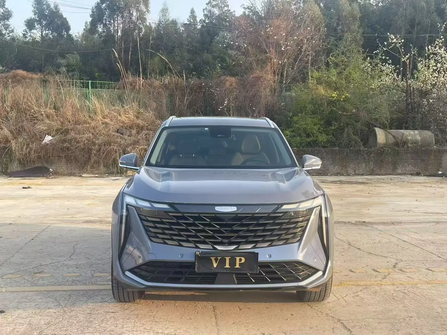 Geely Atlas L (Boyue L)  из Китая