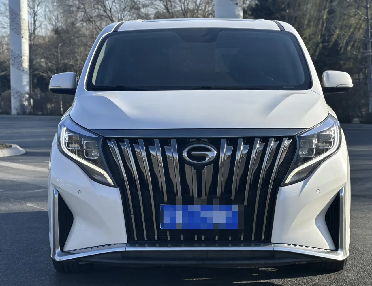 GAC Trumpchi M8  из Китая