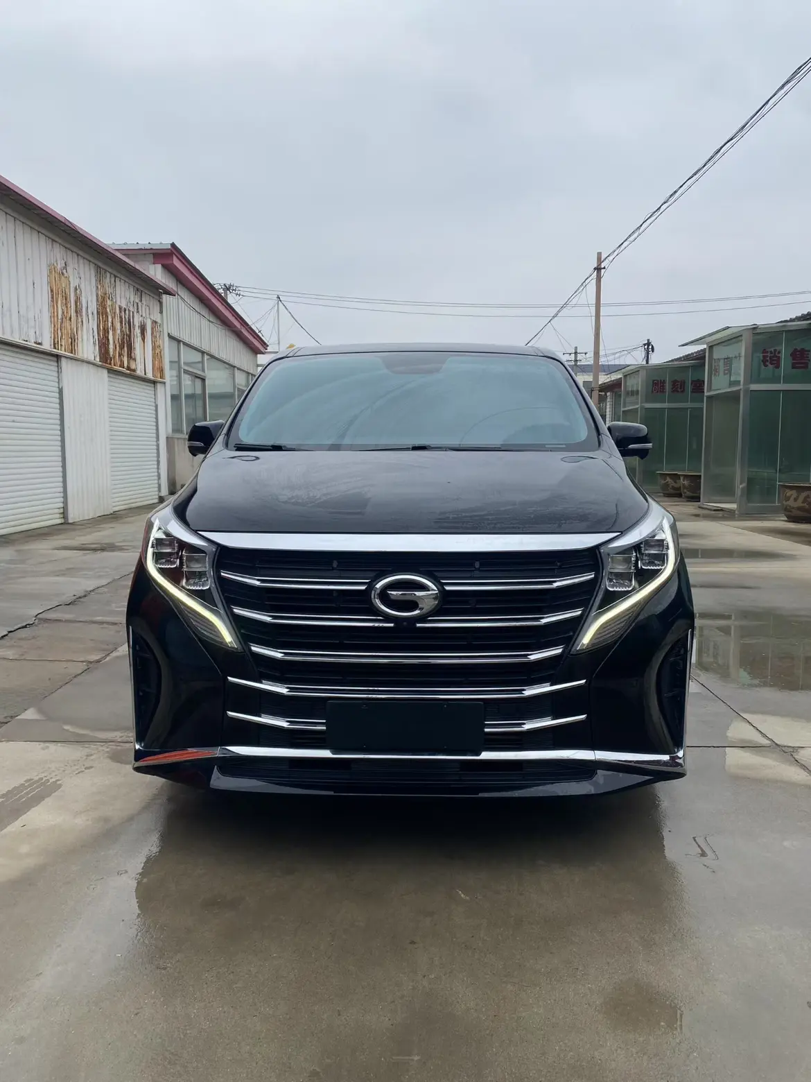 GAC Trumpchi M8  из Китая
