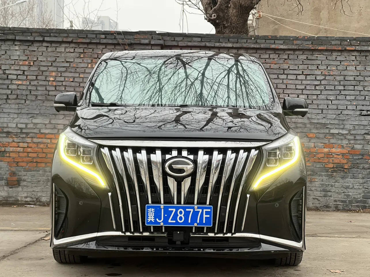 GAC Trumpchi M8  из Китая