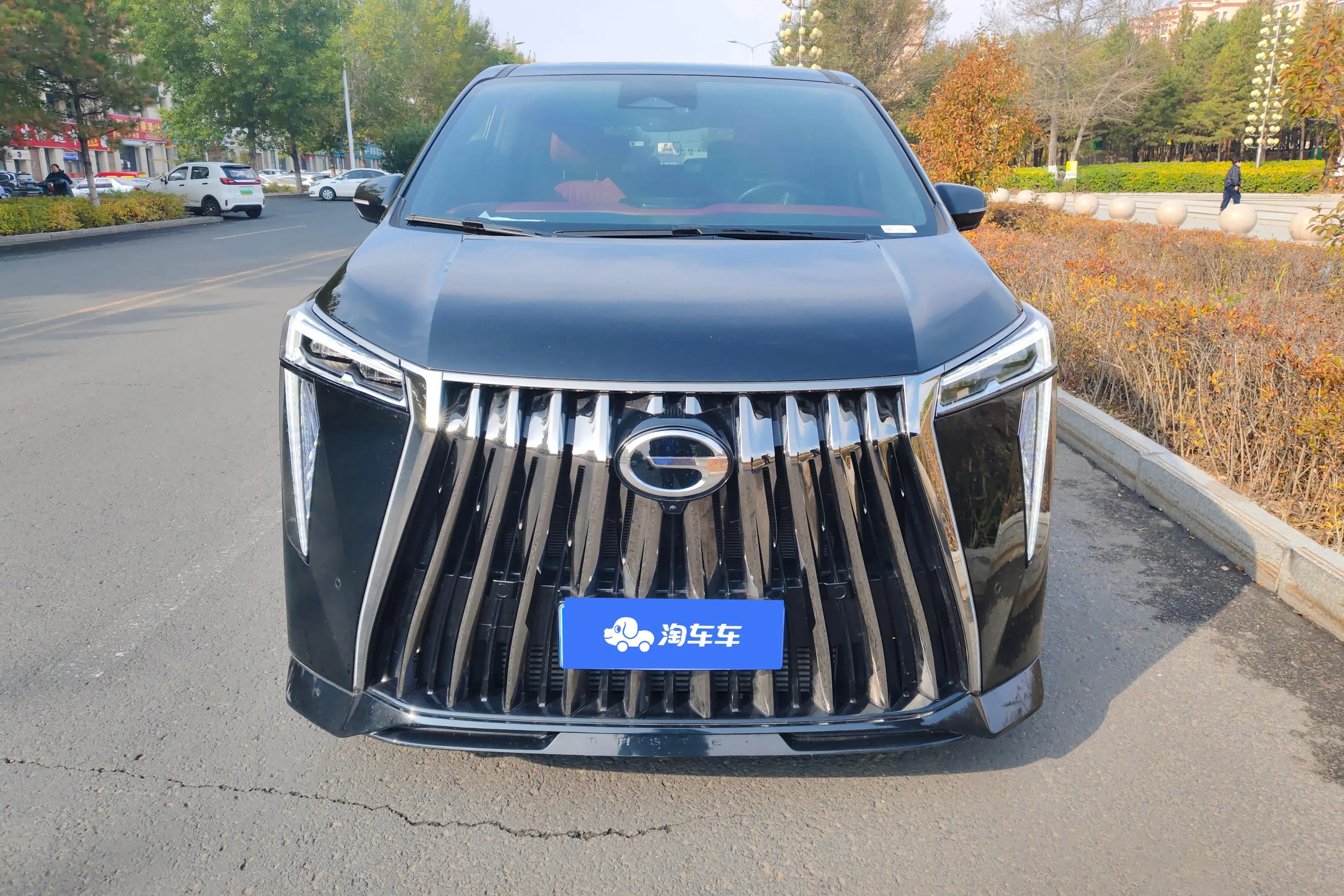 GAC Trumpchi M8  из Китая