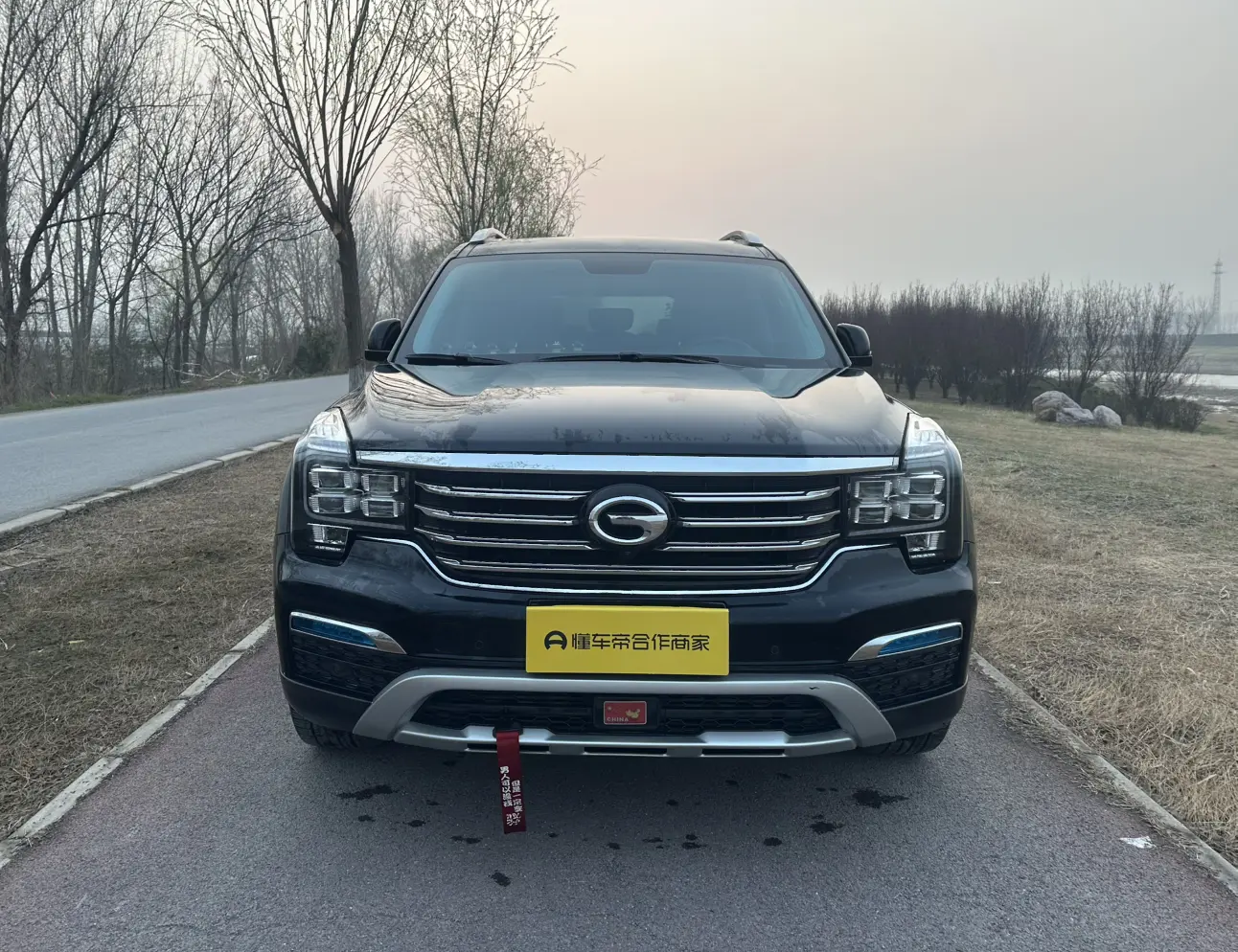 GAC Trumpchi GS8  из Китая