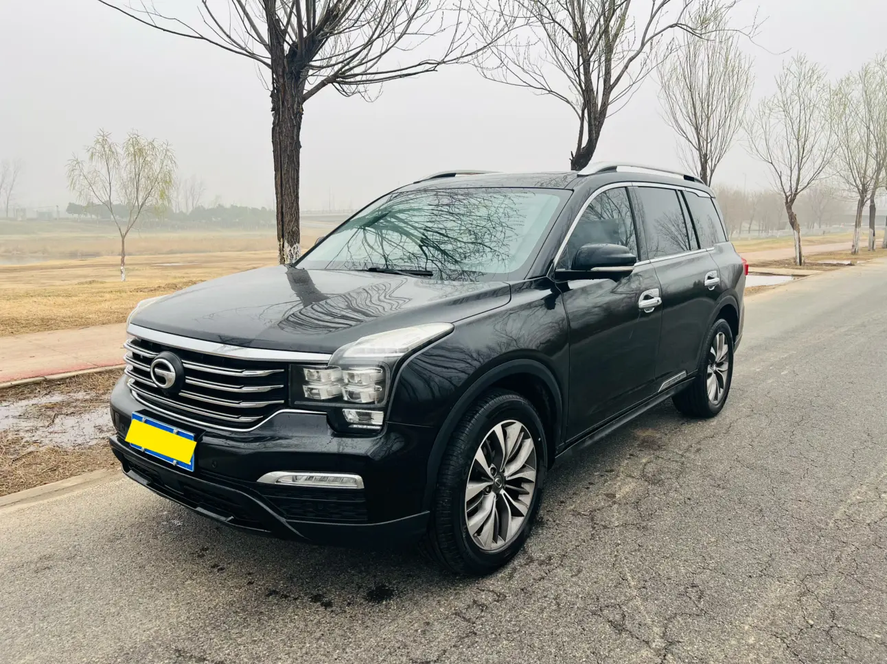 GAC Trumpchi GS8  из Китая