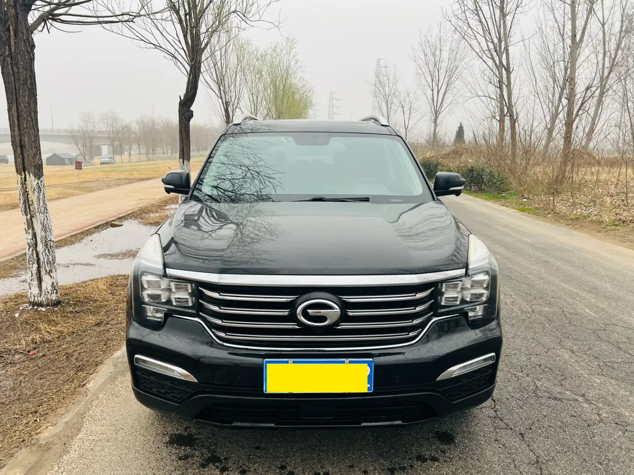 GAC Trumpchi GS8  из Китая