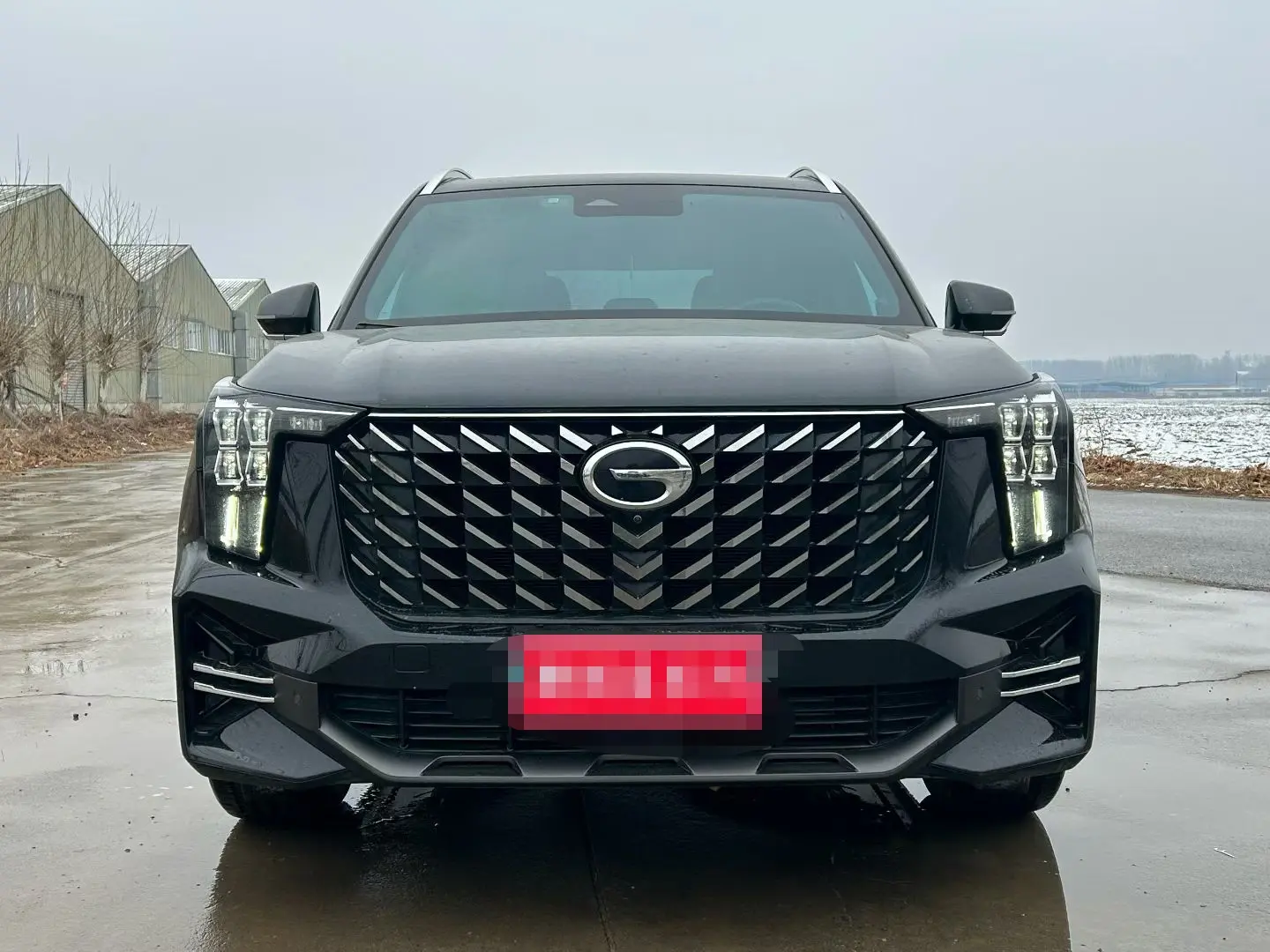 GAC Trumpchi GS8  из Китая