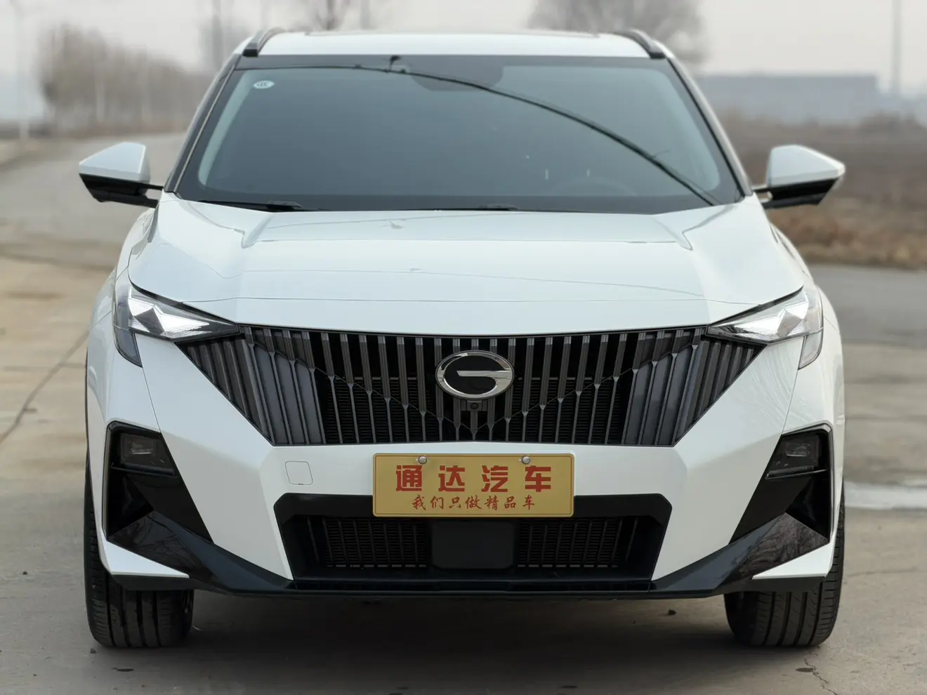 GAC Trumpchi GS3  из Китая