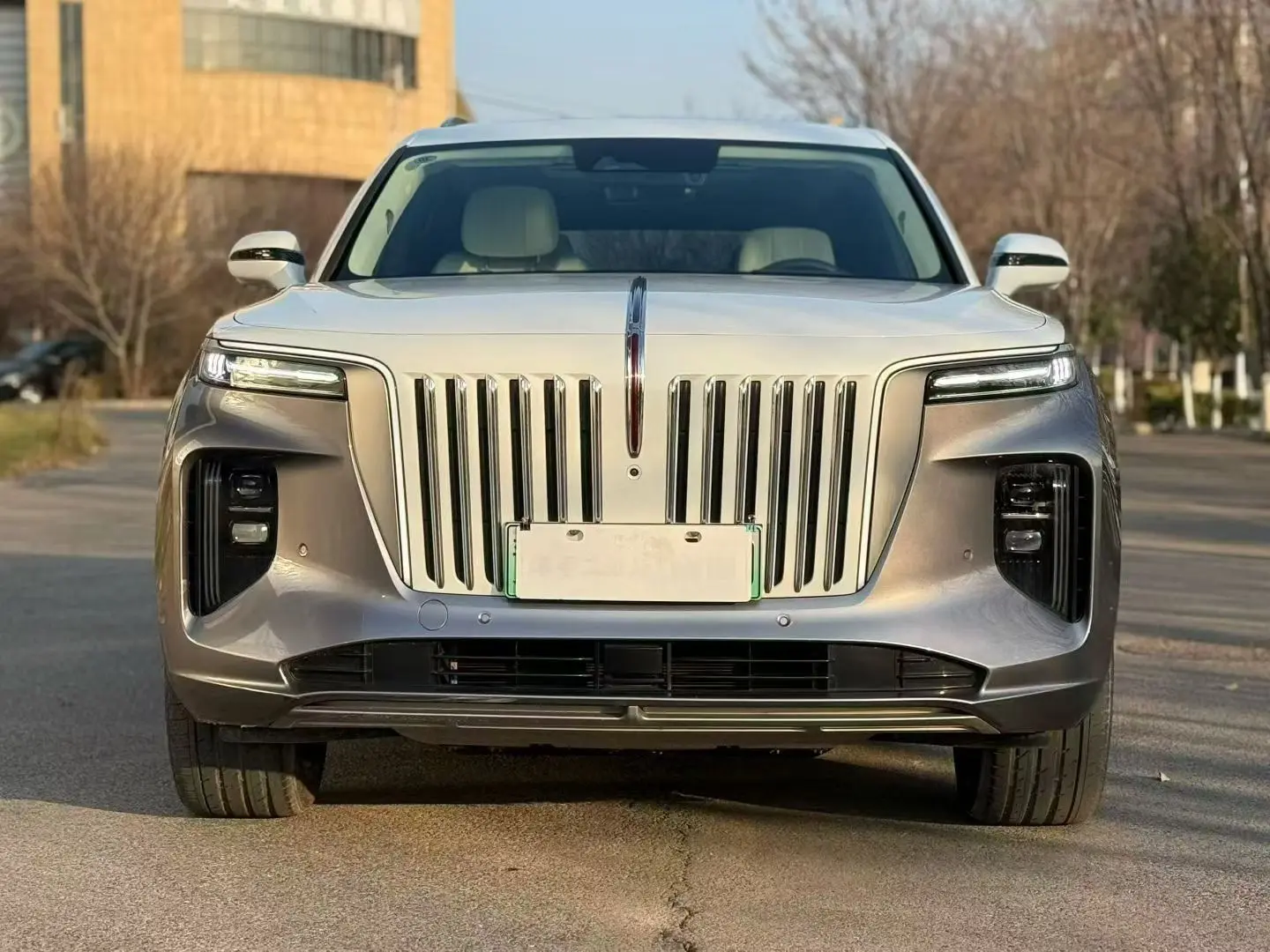 Hongqi E-HS9  из Китая