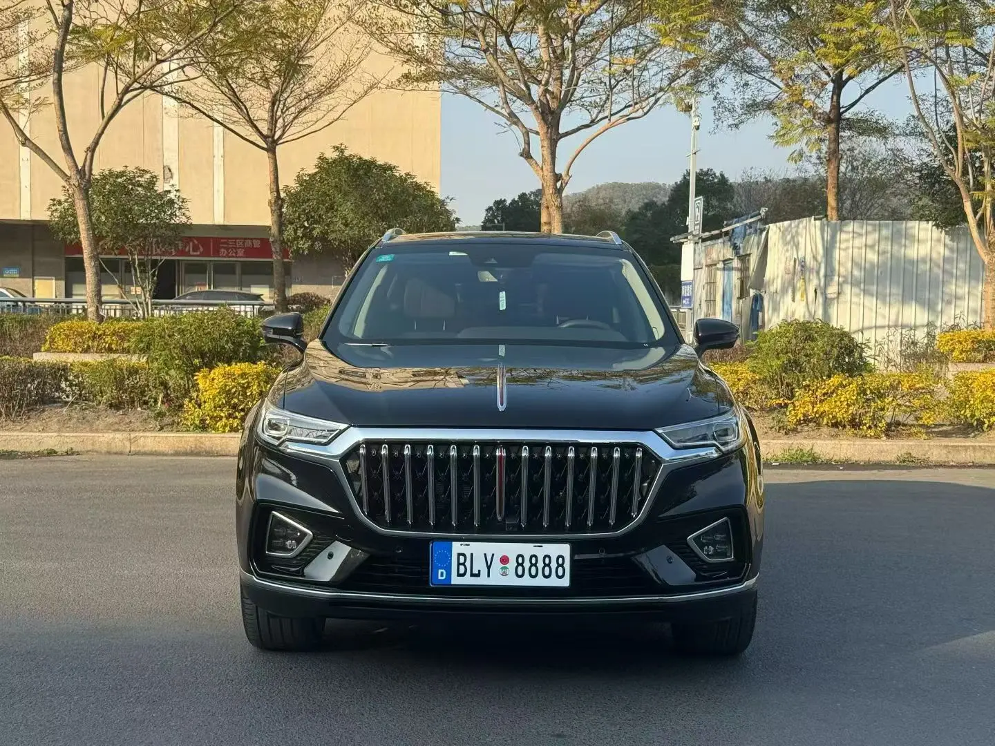 Hongqi HS5  из Китая