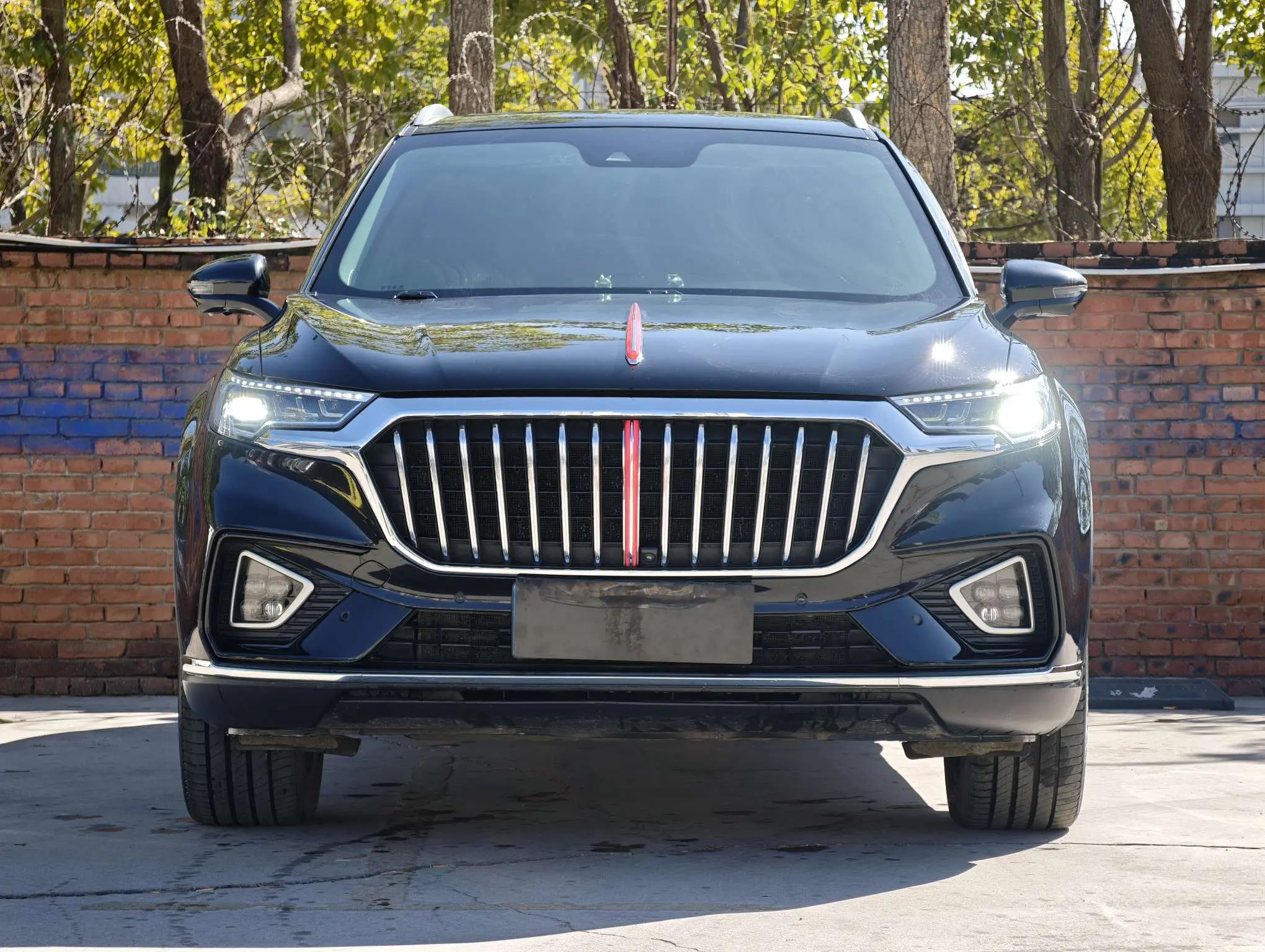 Hongqi HS5  из Китая