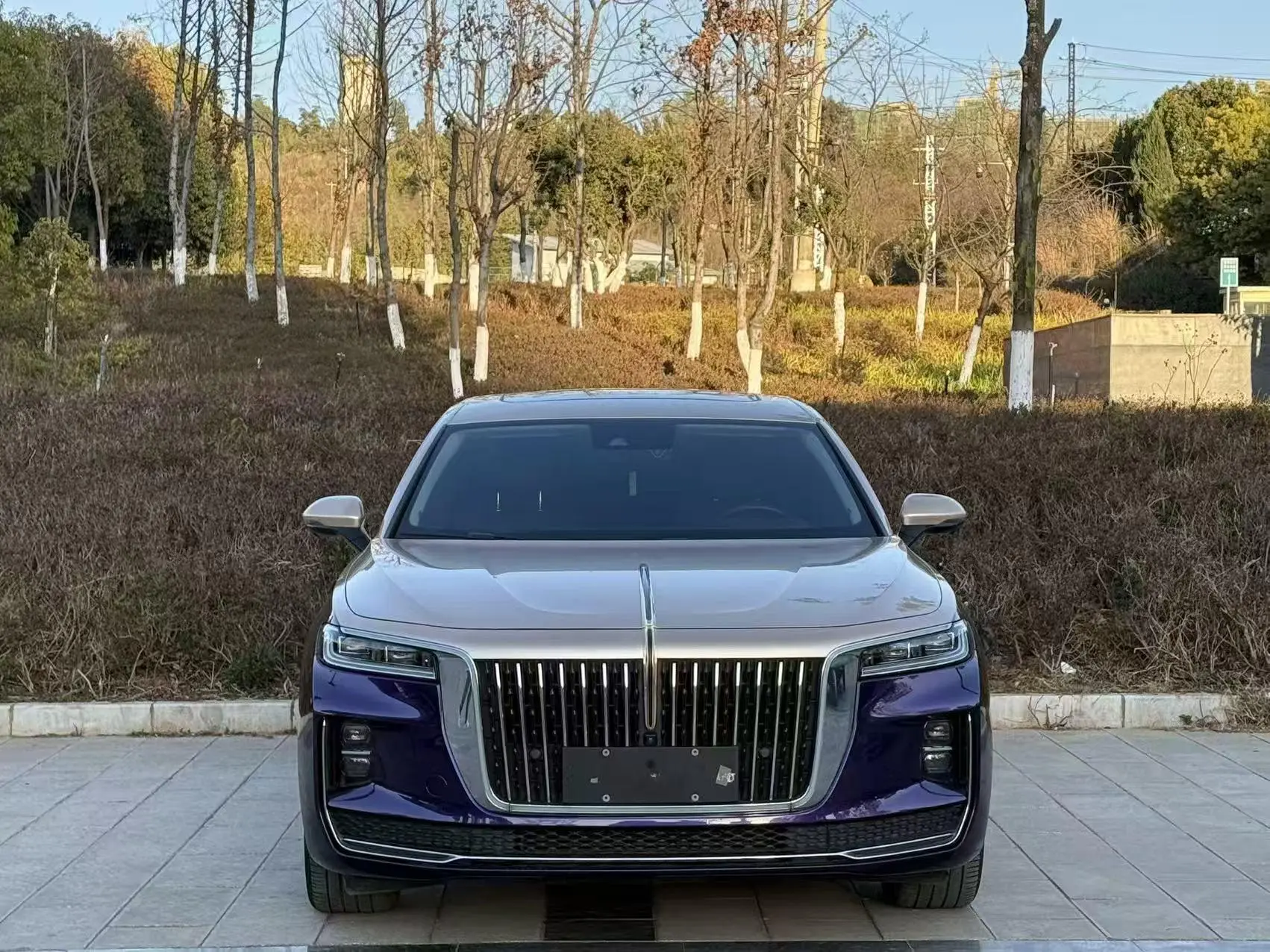 Hongqi H9  из Китая