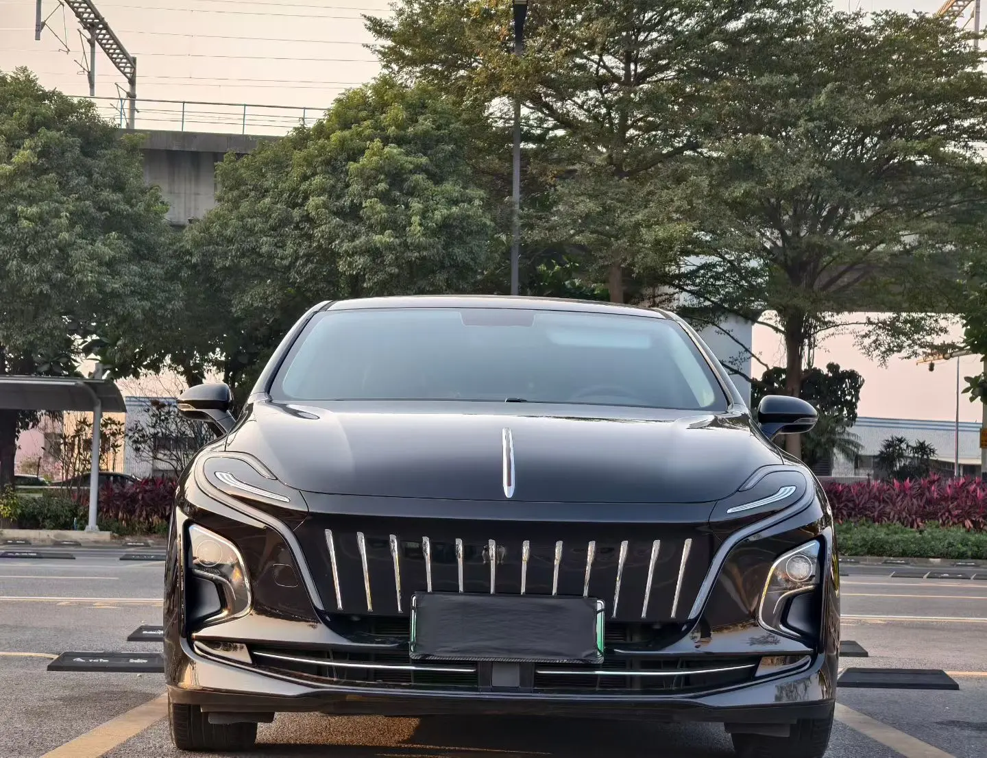 Hongqi E-QM5  из Китая