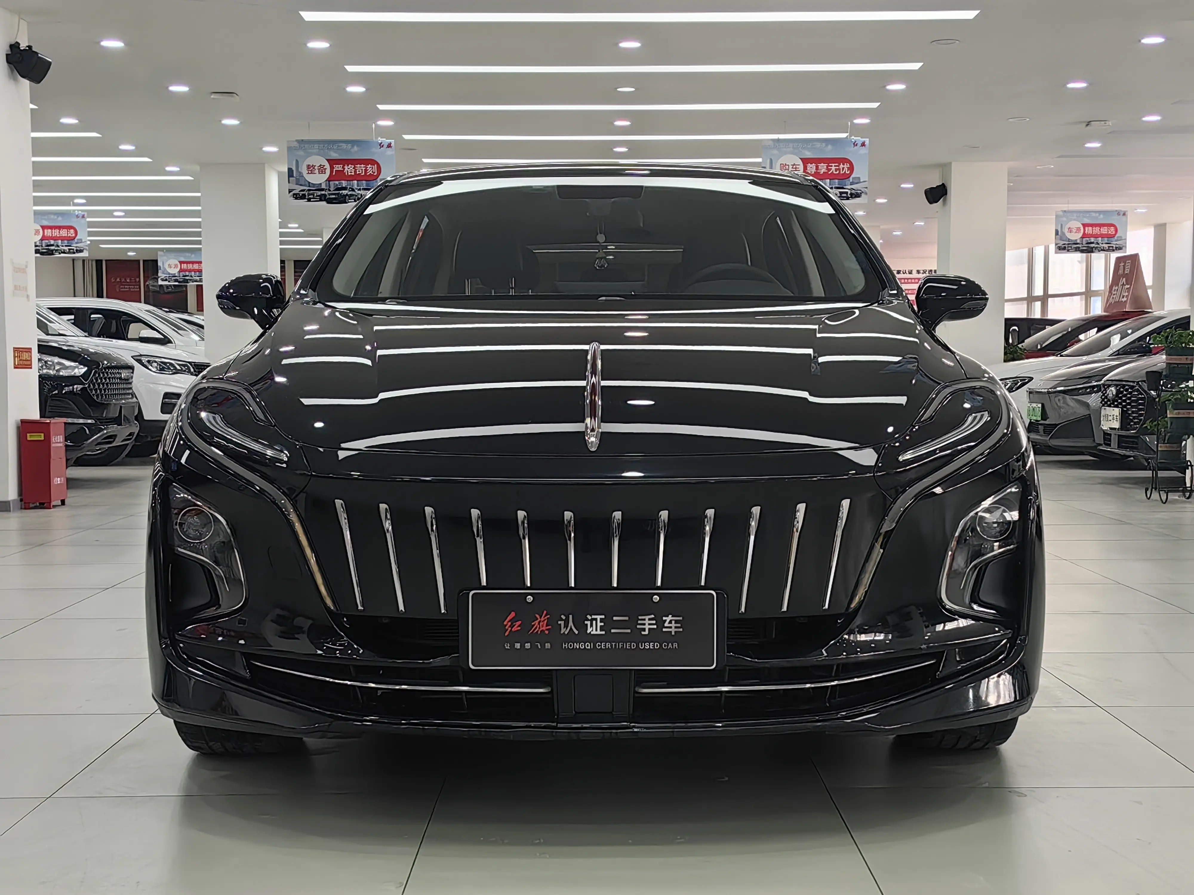 Hongqi E-QM5  из Китая