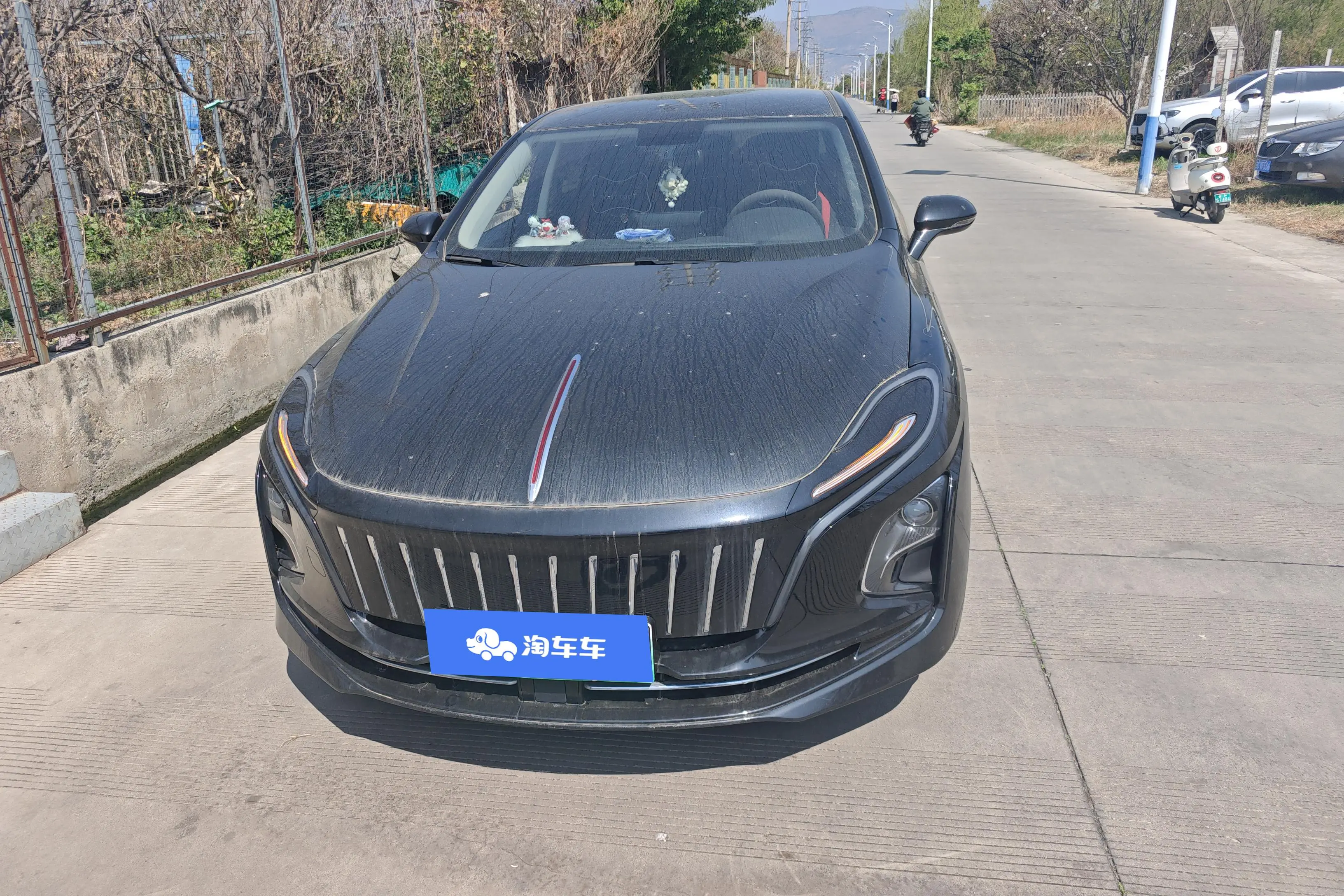 Hongqi E-QM5  из Китая