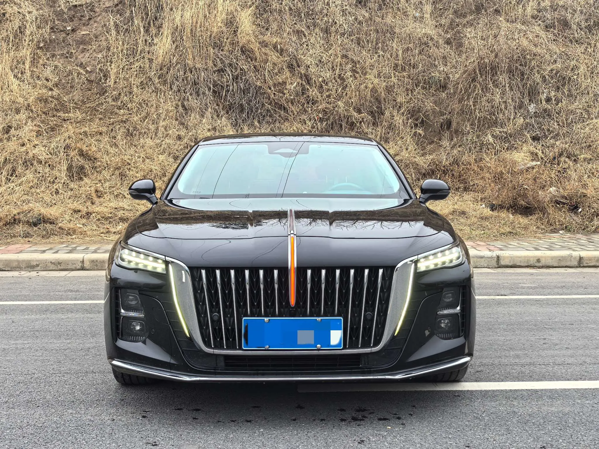 Hongqi H5  из Китая
