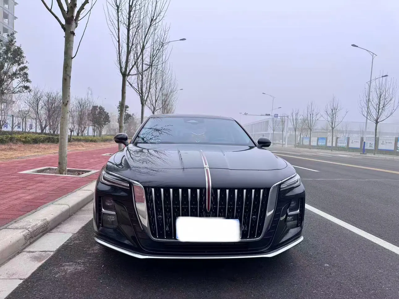 Hongqi H5  из Китая