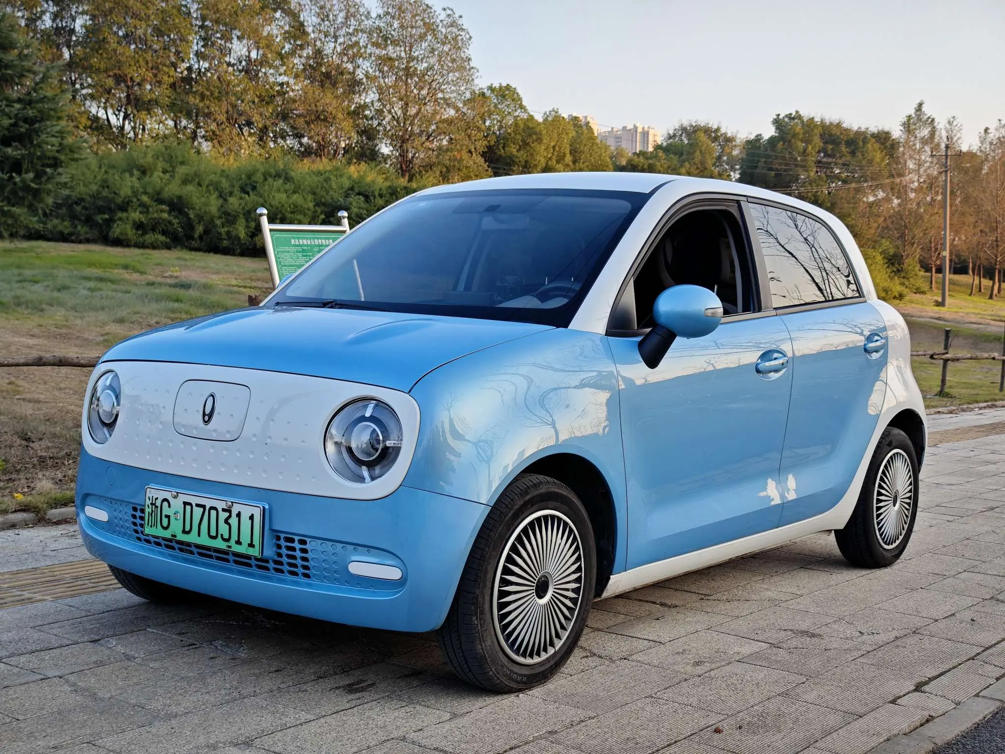 ORA Euler black cat  из Китая