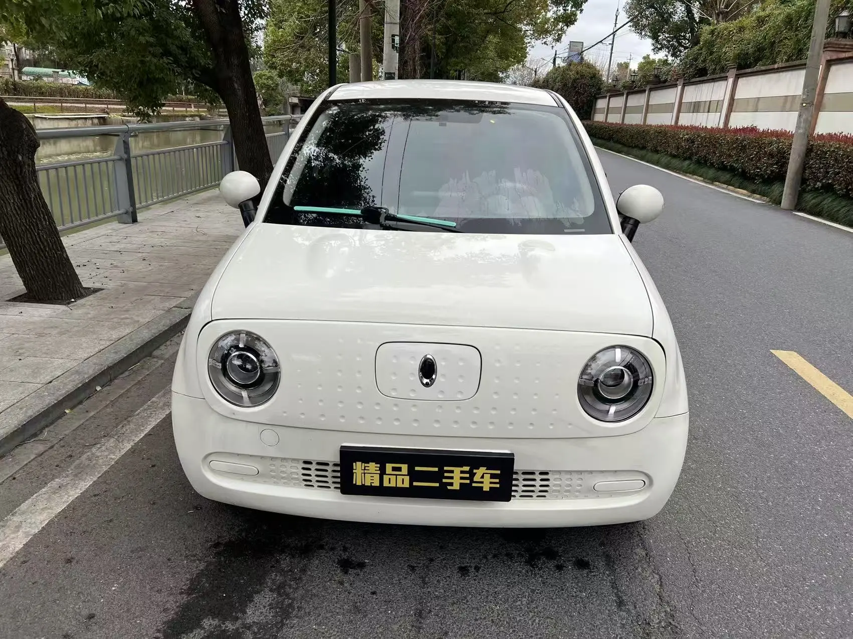 ORA Euler black cat  из Китая