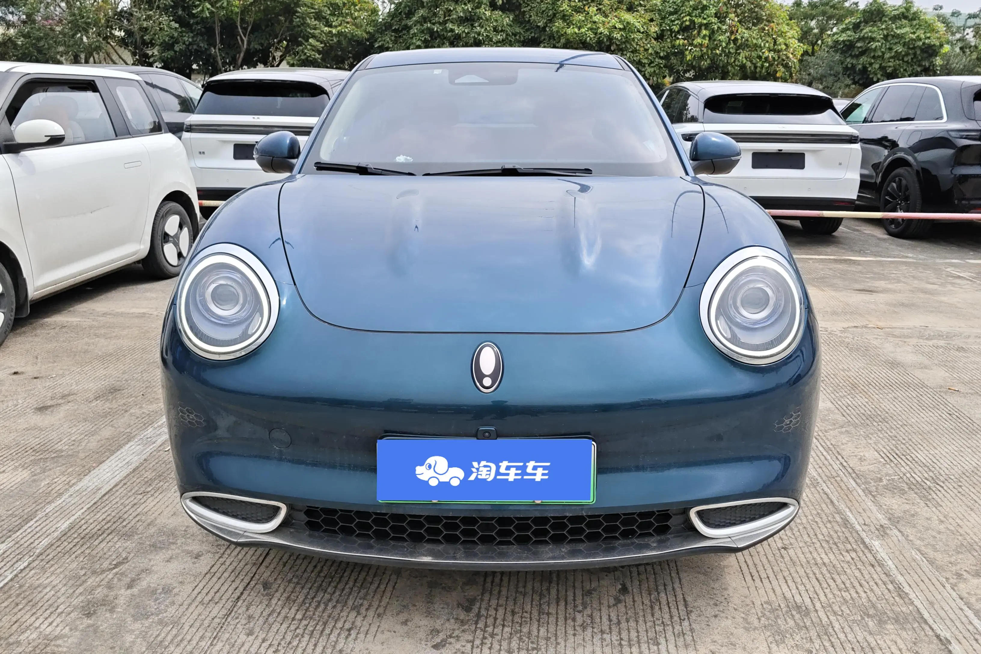 ORA Euler good cat  из Китая