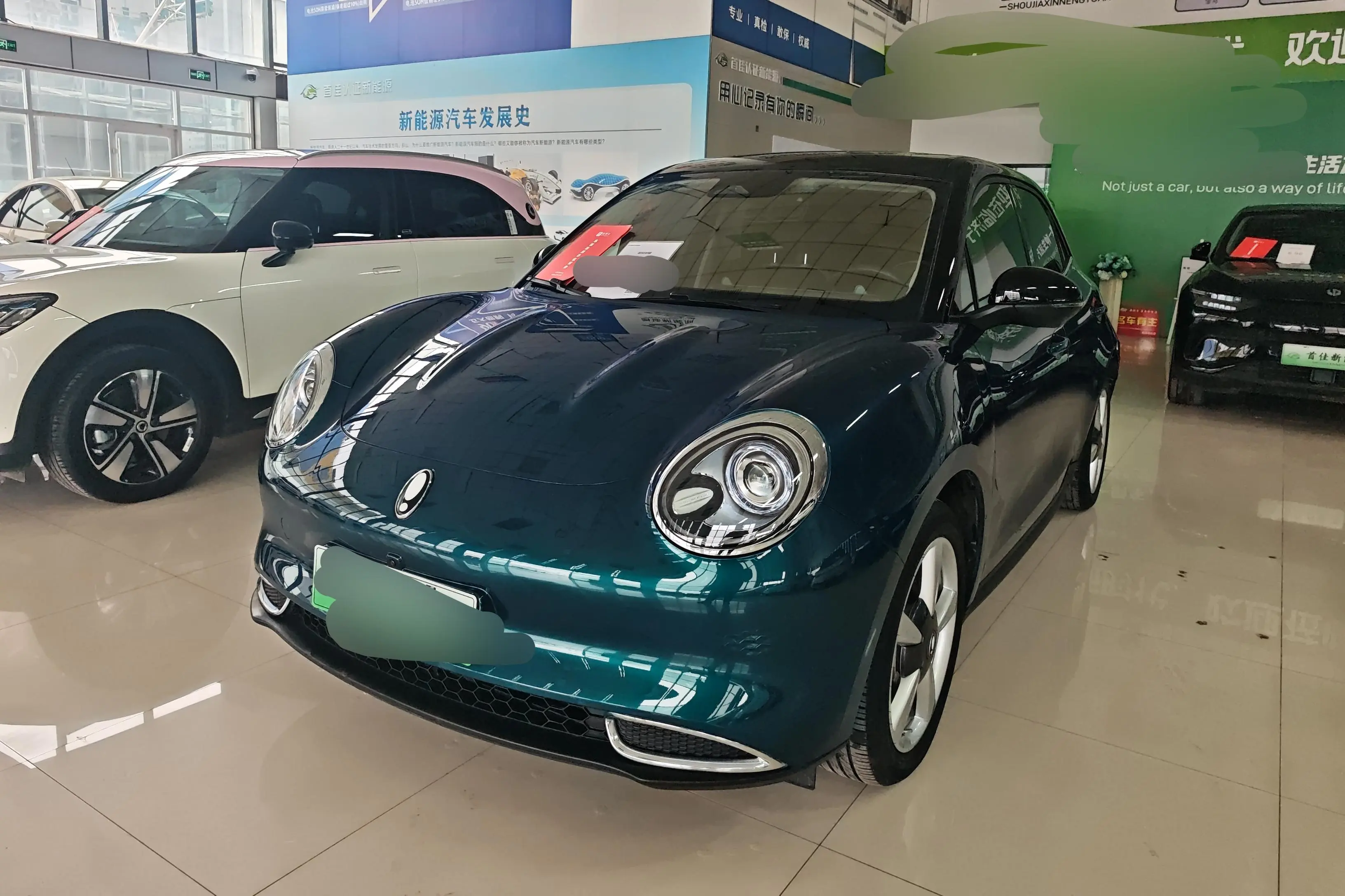 ORA Euler good cat  из Китая