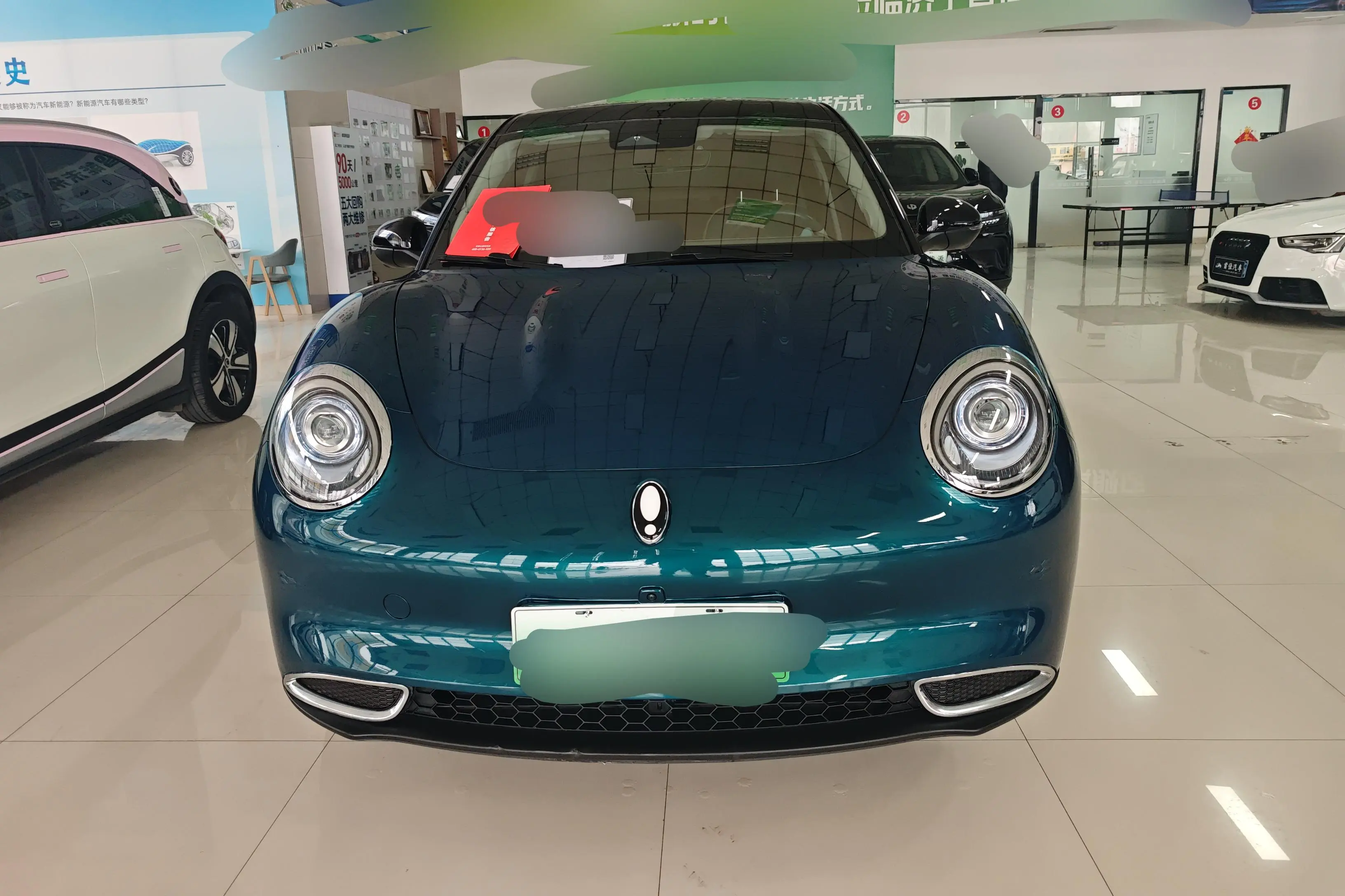 ORA Euler good cat  из Китая