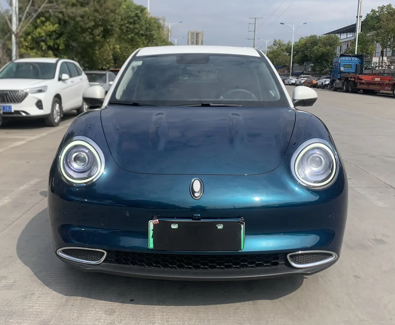 ORA Euler good cat  из Китая