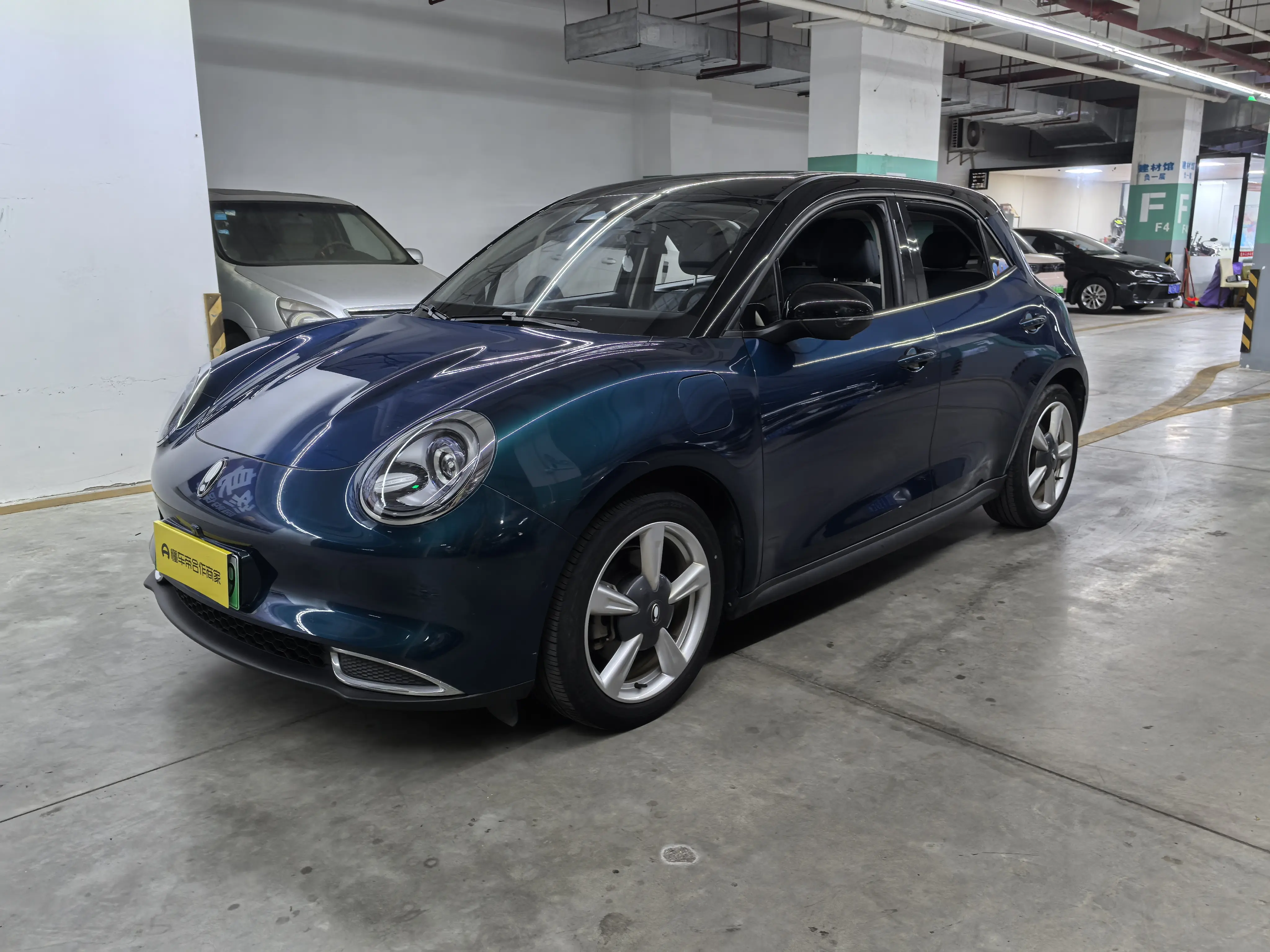 ORA Euler good cat  из Китая