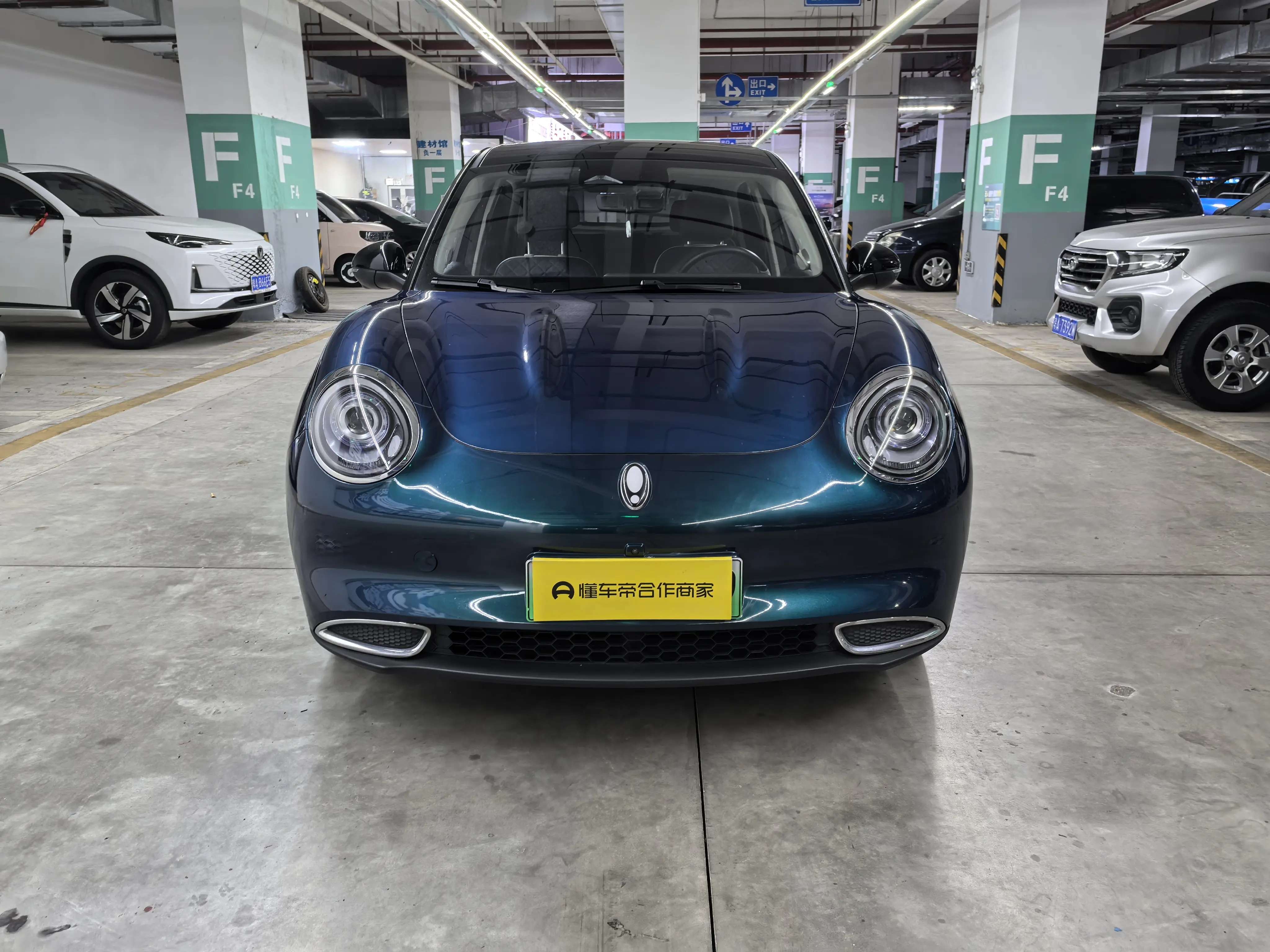 ORA Euler good cat  из Китая