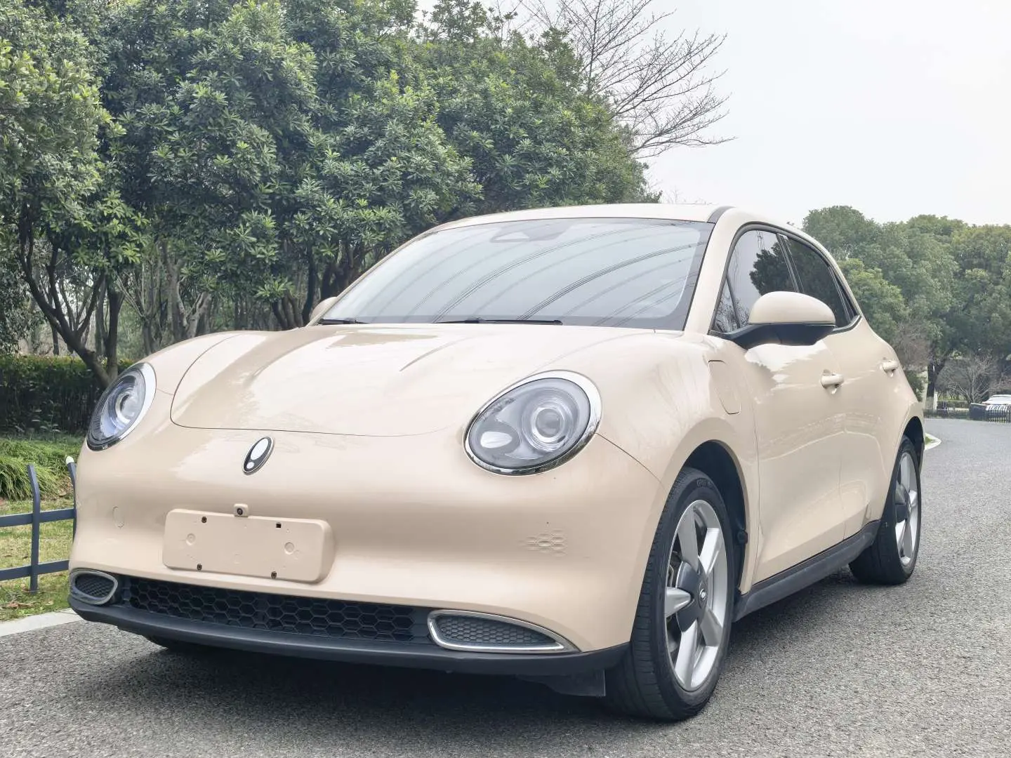 ORA Euler good cat  из Китая