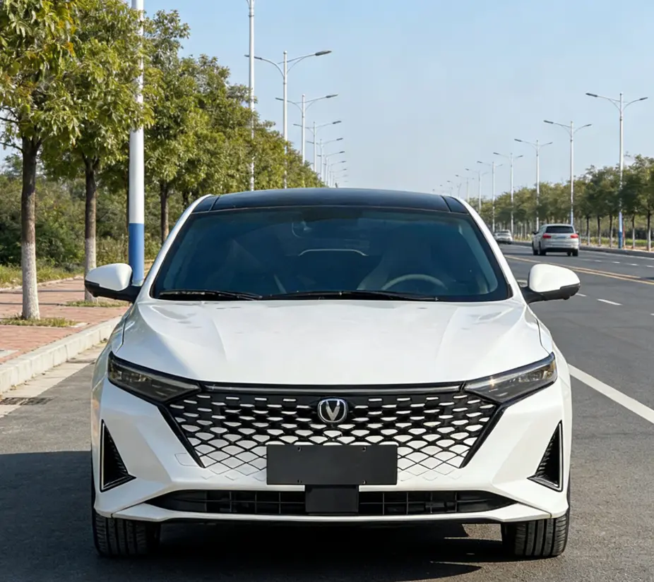 Changan Ruicheng PLUS  из Китая