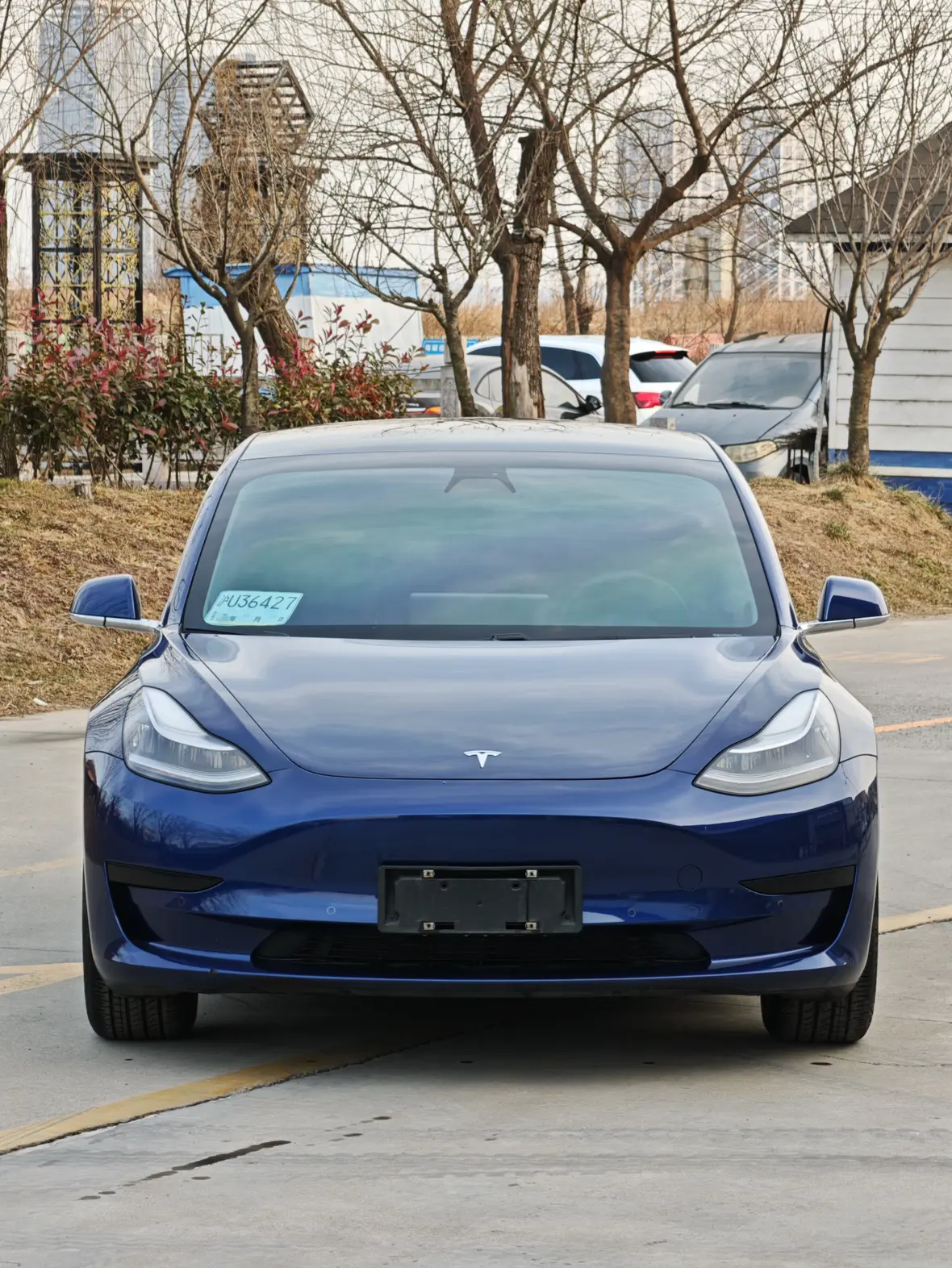 Tesla Model 3  из Китая