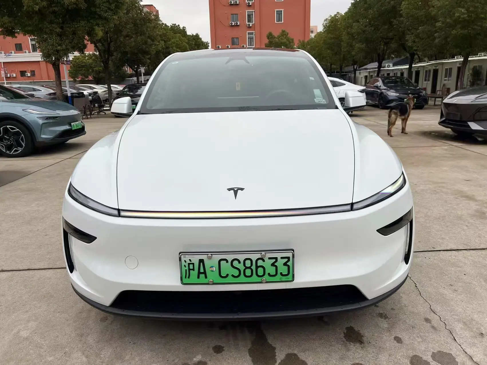 Tesla Model YL  из Китая