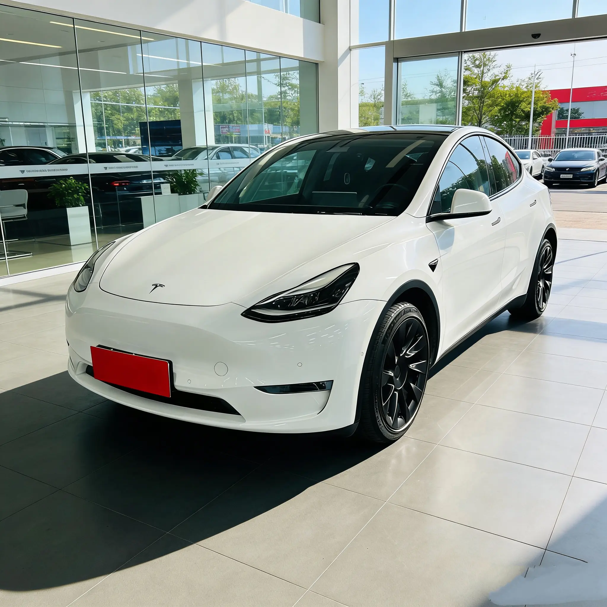 Tesla Model Y  из Китая