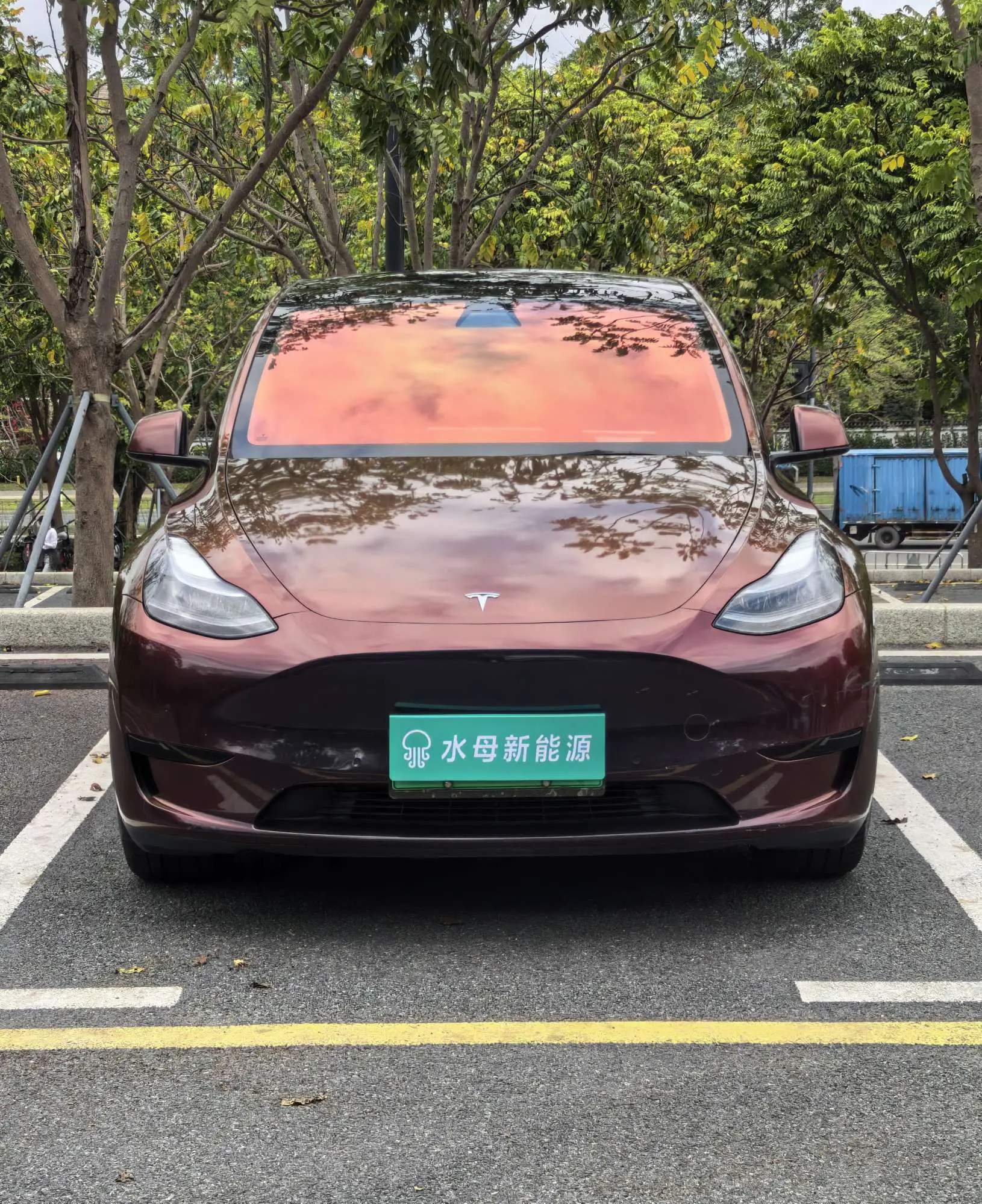 Tesla Model Y  из Китая