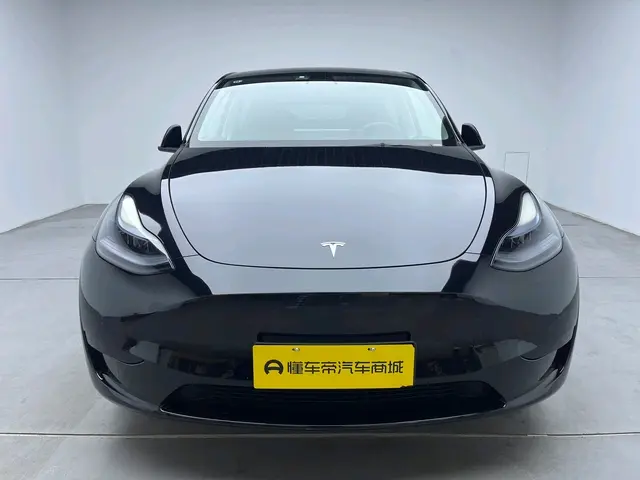 Tesla Model Y  из Китая