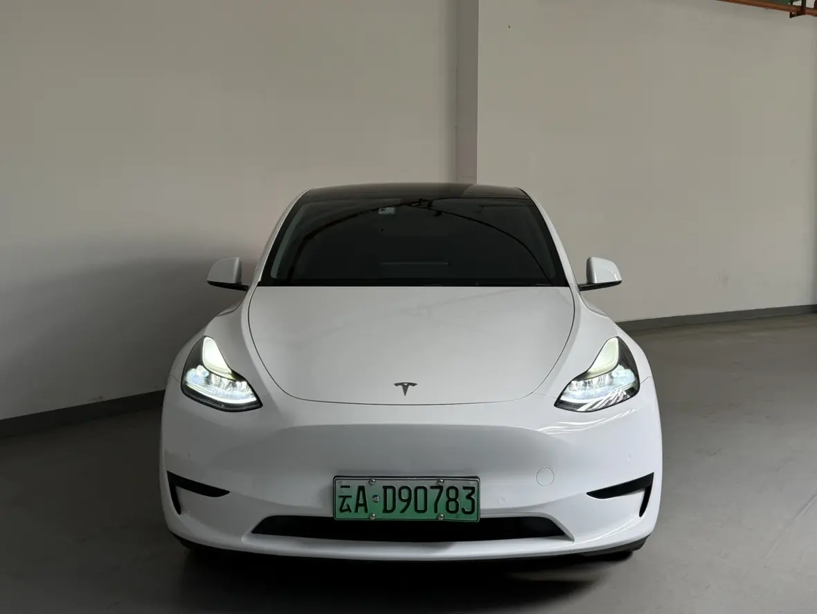 Tesla Model Y  из Китая