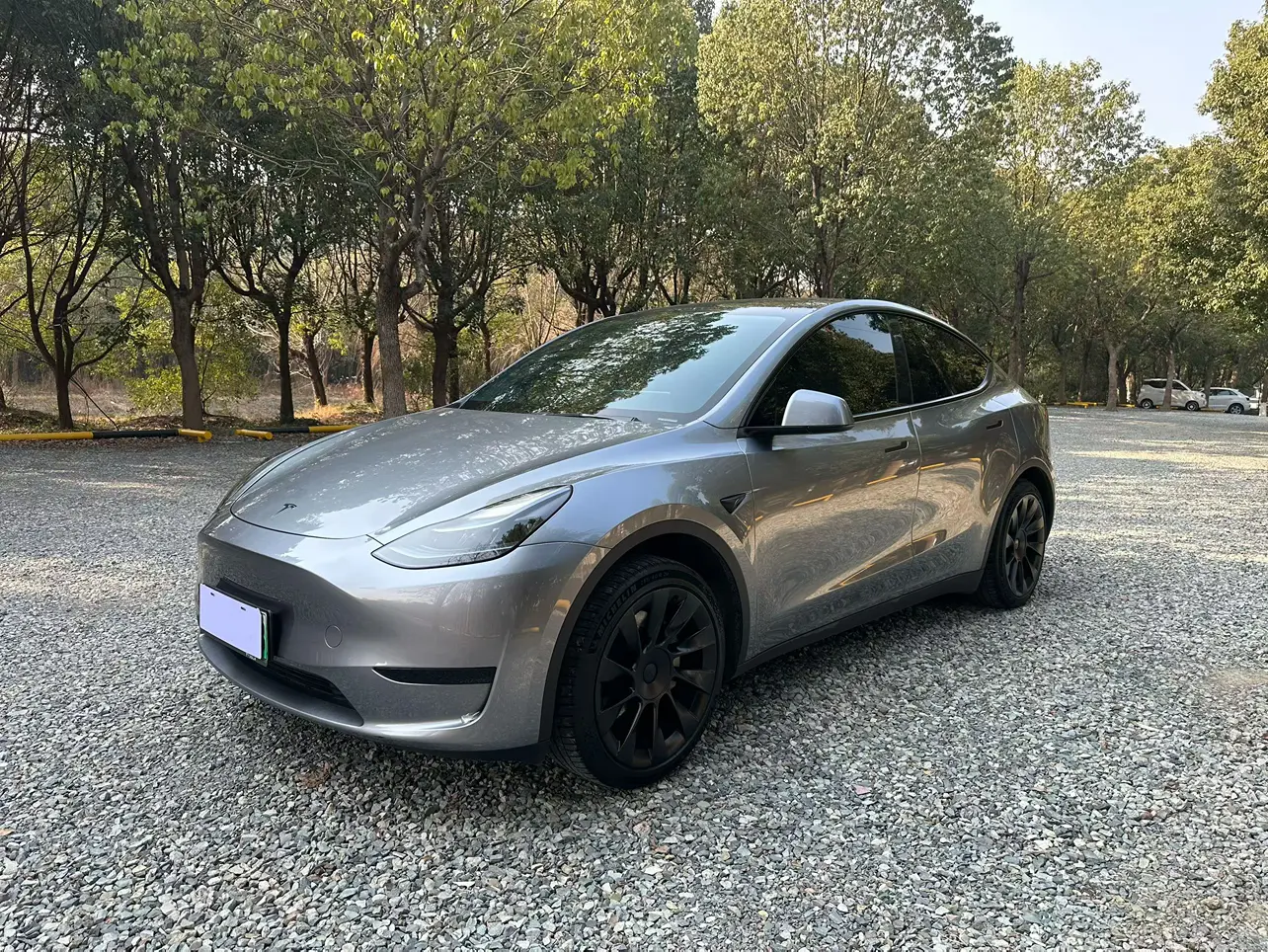 Tesla Model Y  из Китая