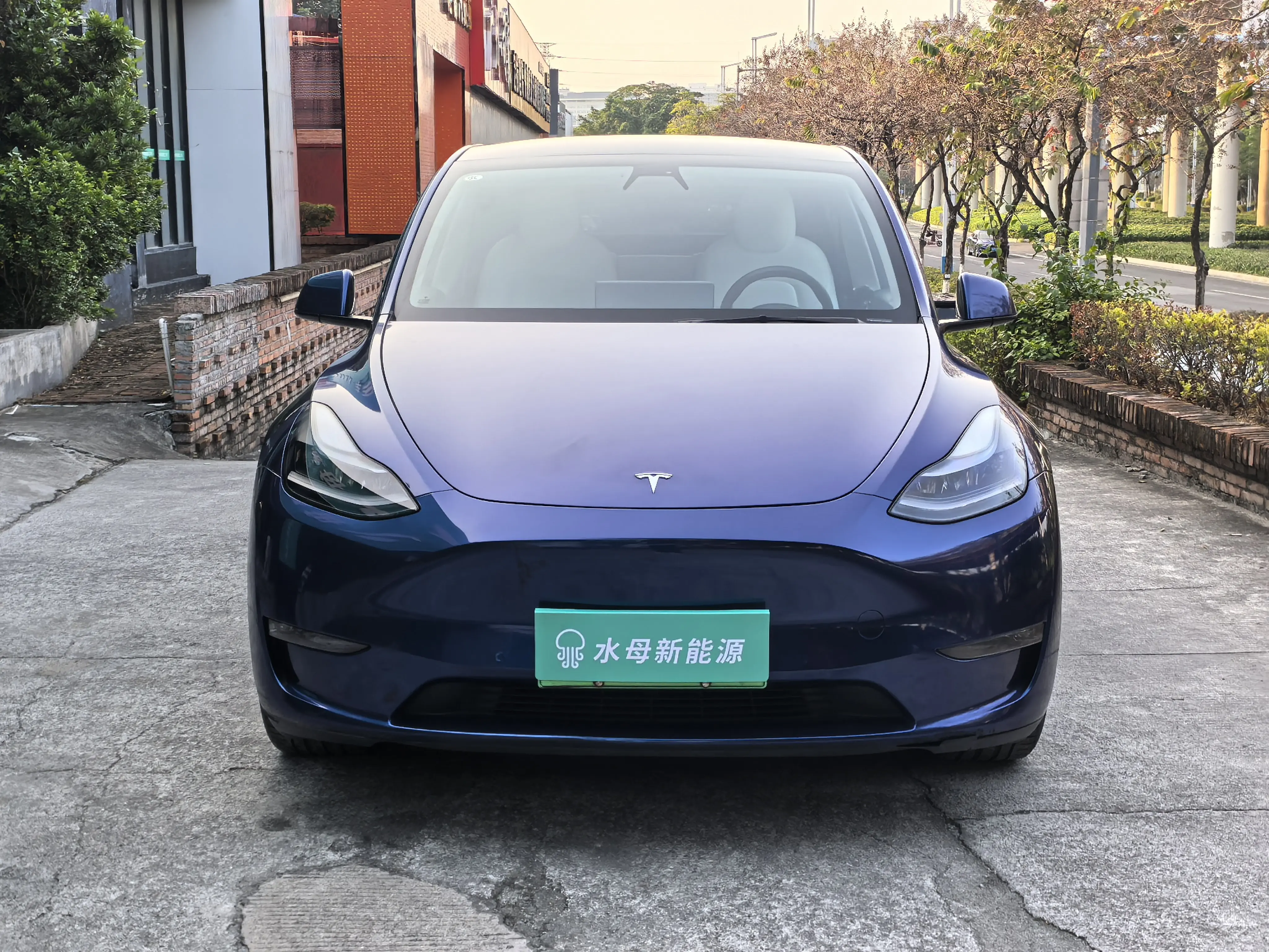 Tesla Model Y  из Китая