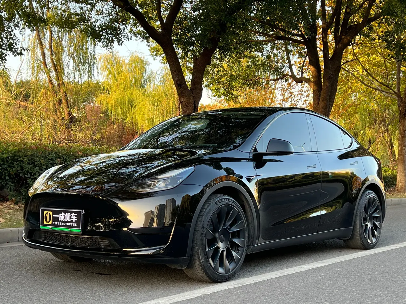 Tesla Model Y  из Китая