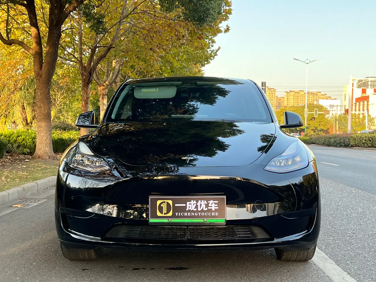 Tesla Model Y  из Китая