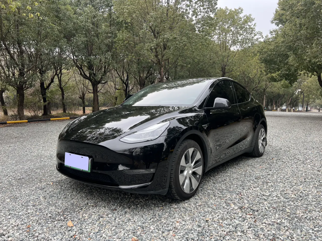 Tesla Model Y  из Китая