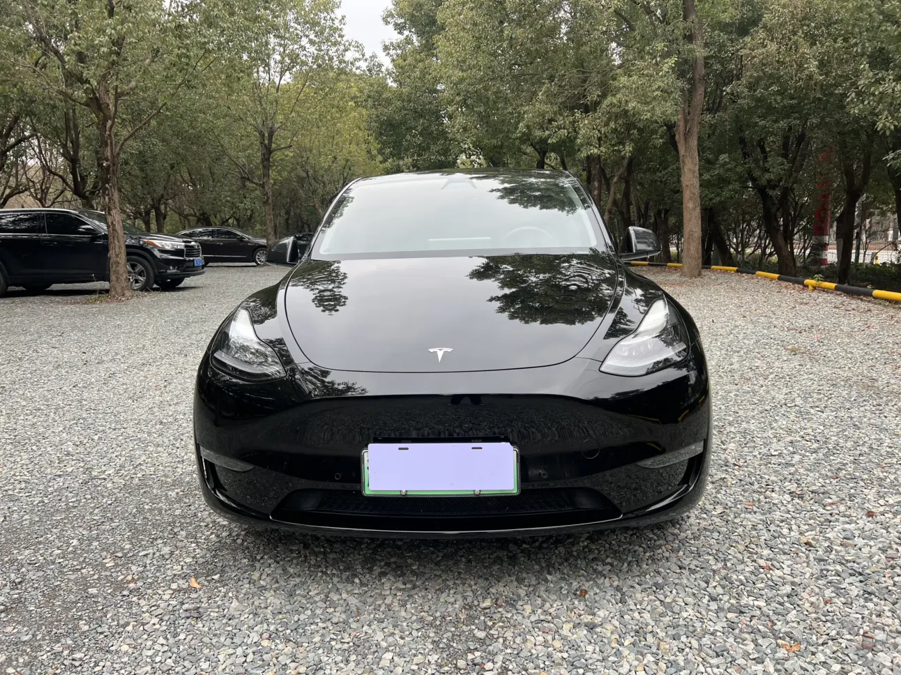 Tesla Model Y  из Китая