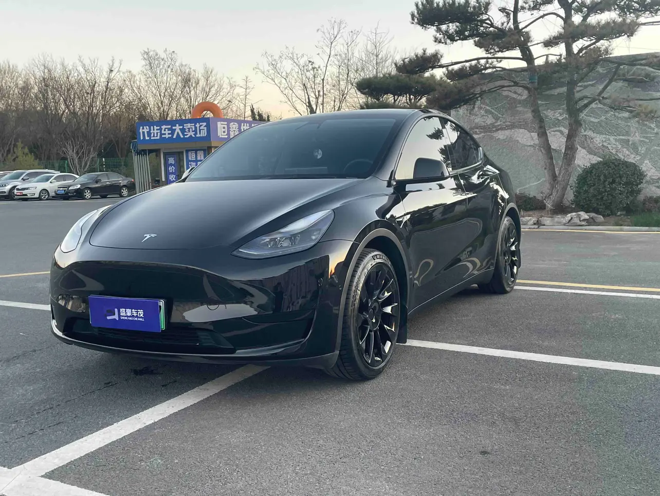 Tesla Model Y  из Китая