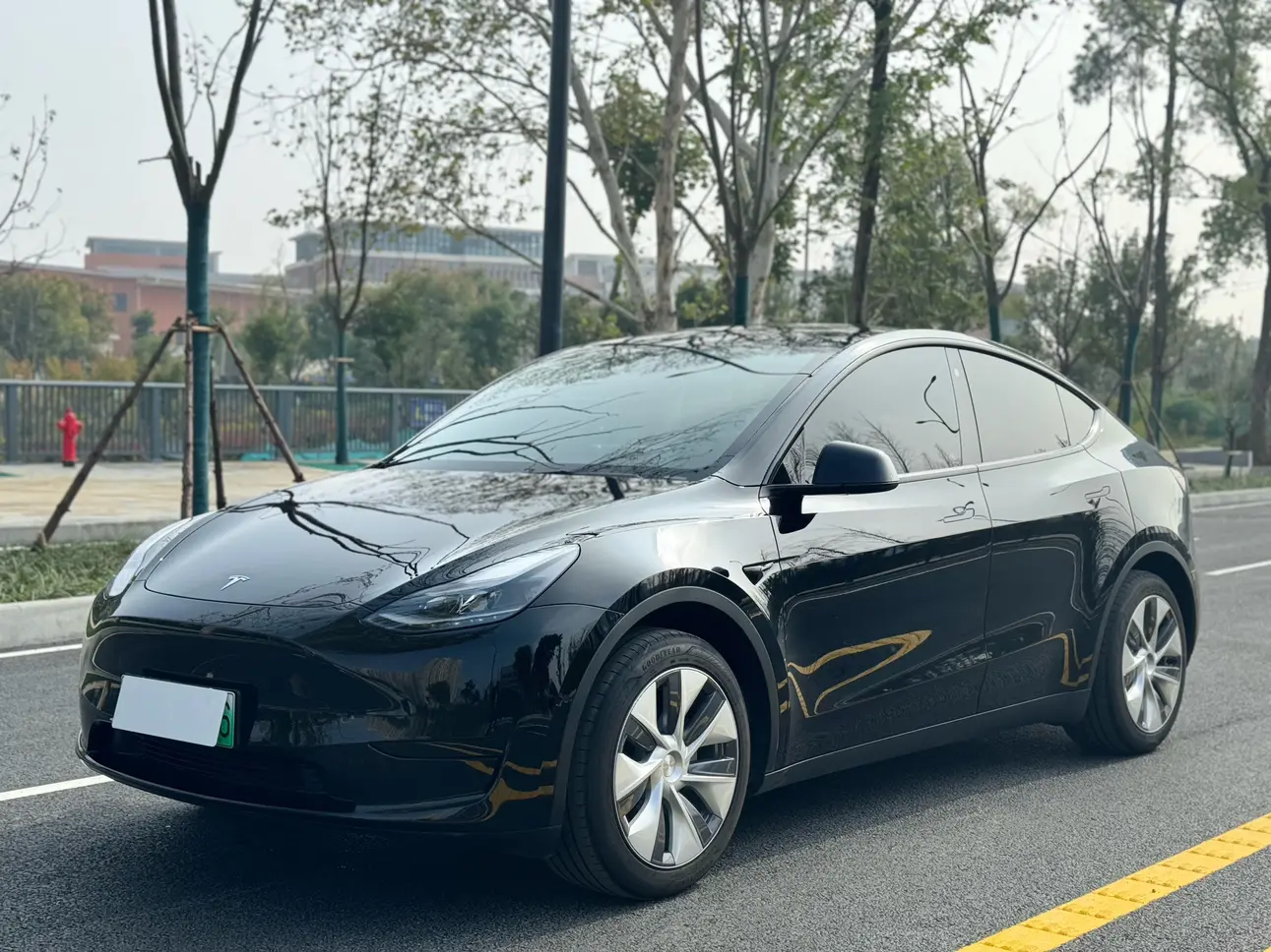 Tesla Model Y  из Китая