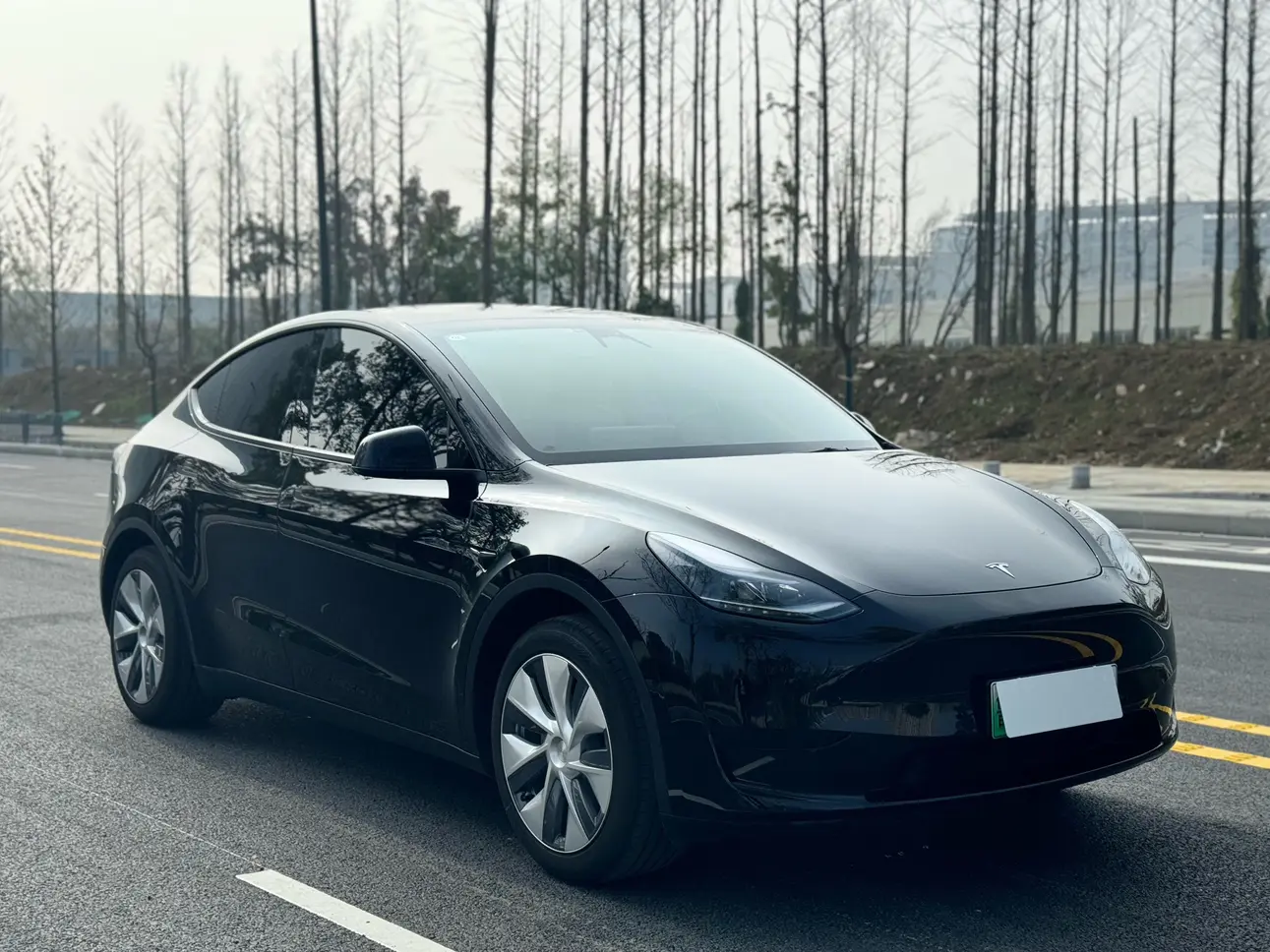 Tesla Model Y  из Китая