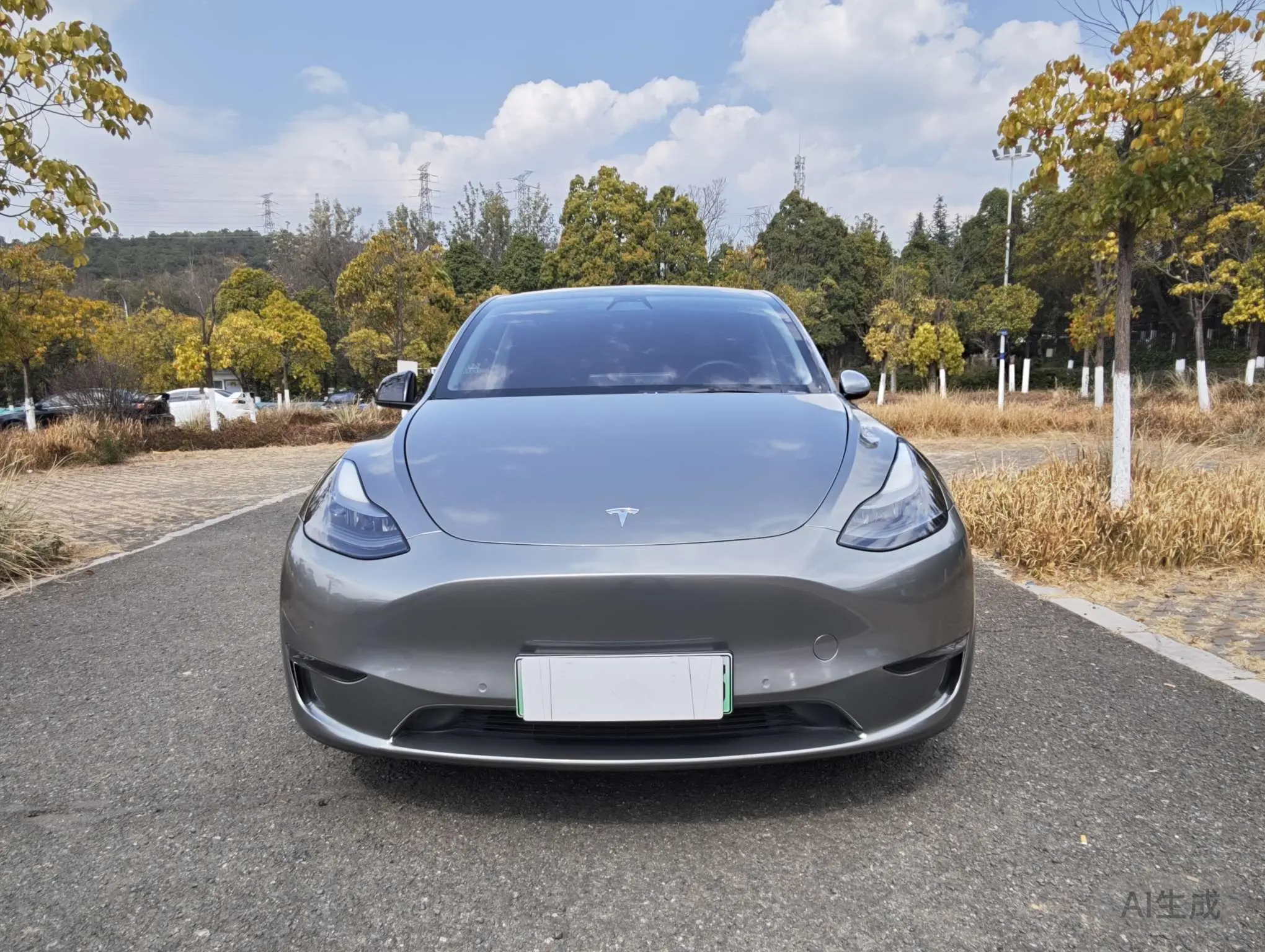 Tesla Model Y  из Китая